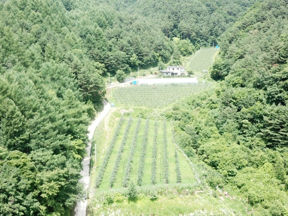 청림농원