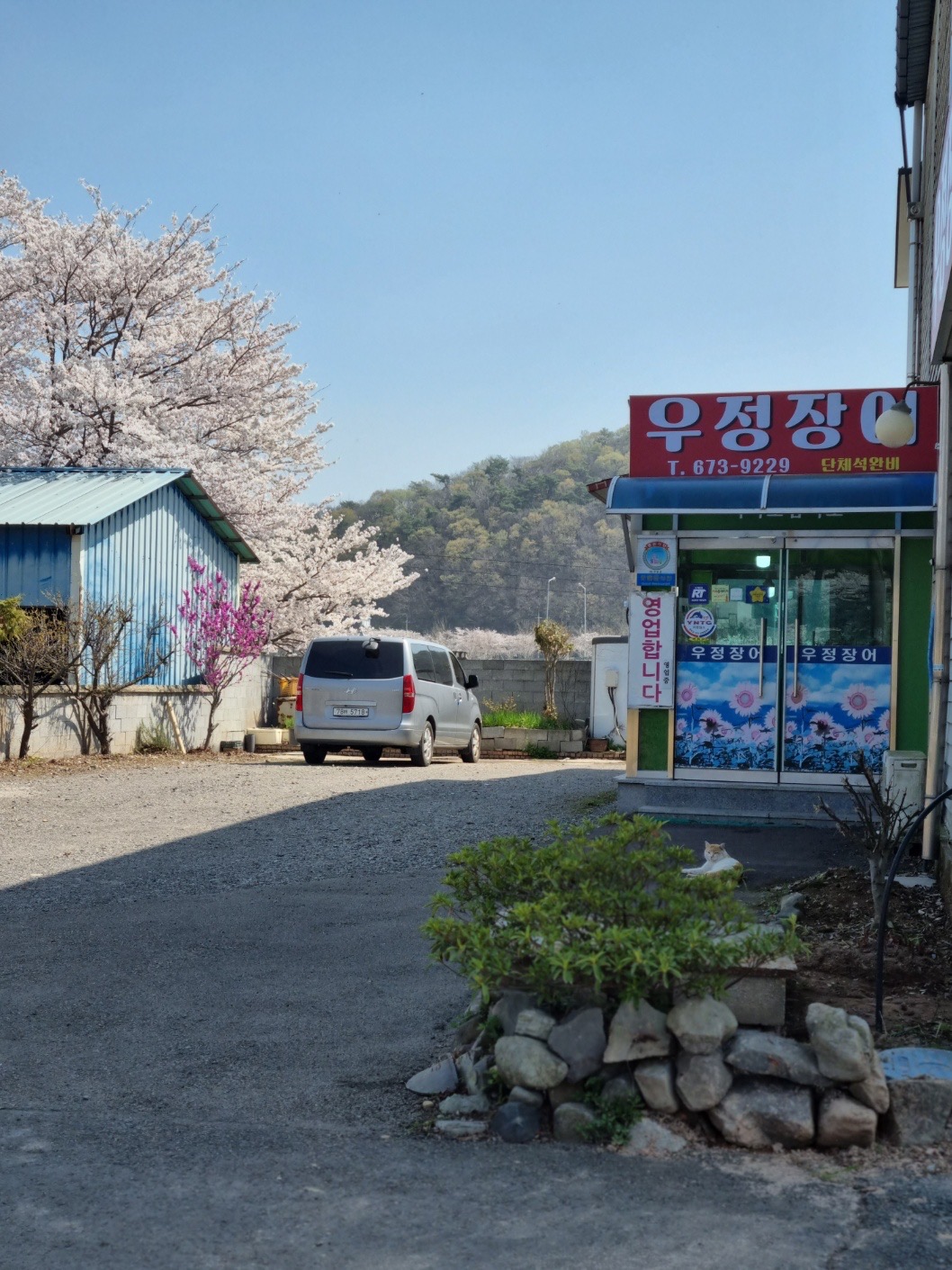 우정장어 설명사진