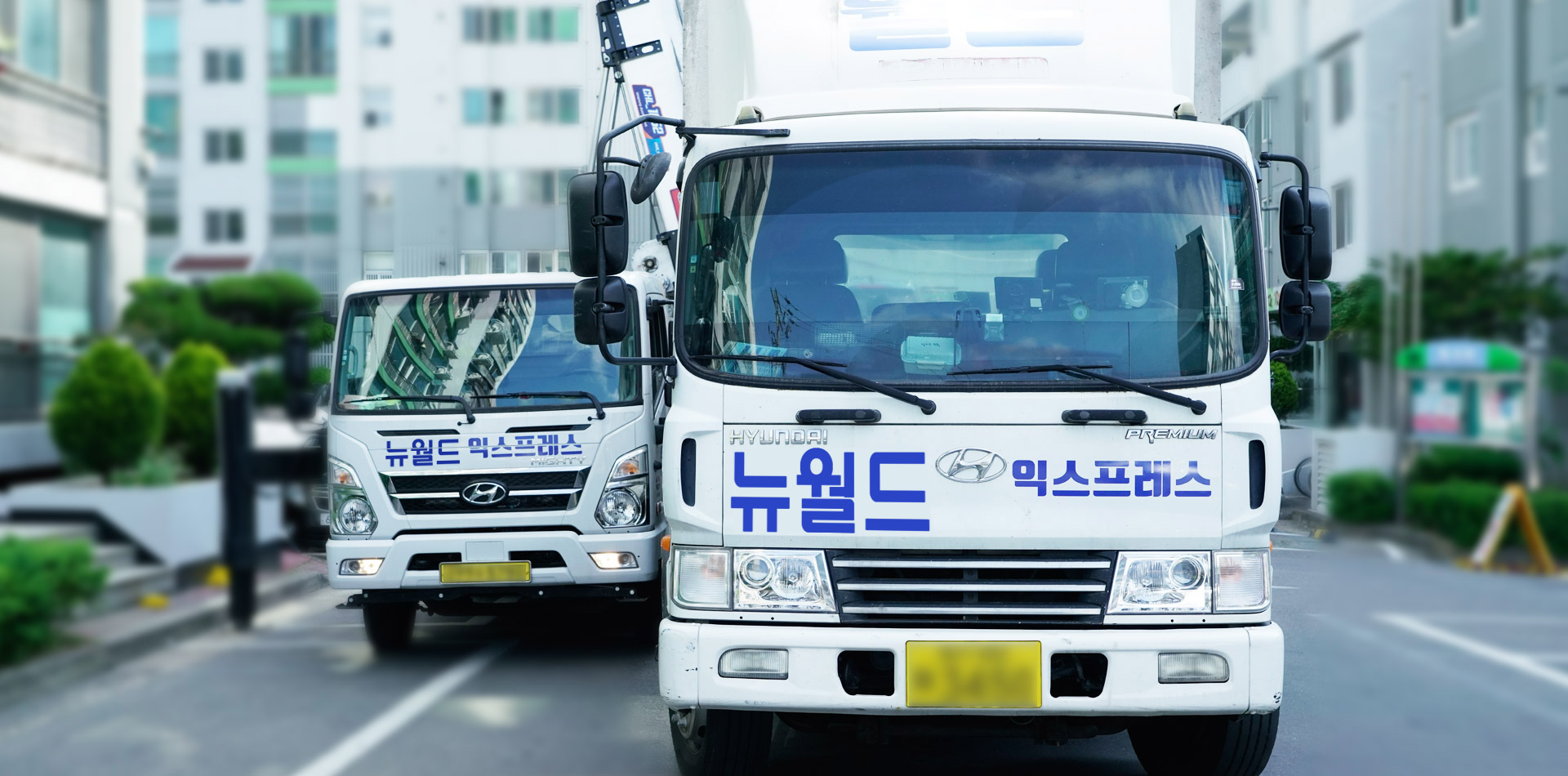 뉴월드 포장이사