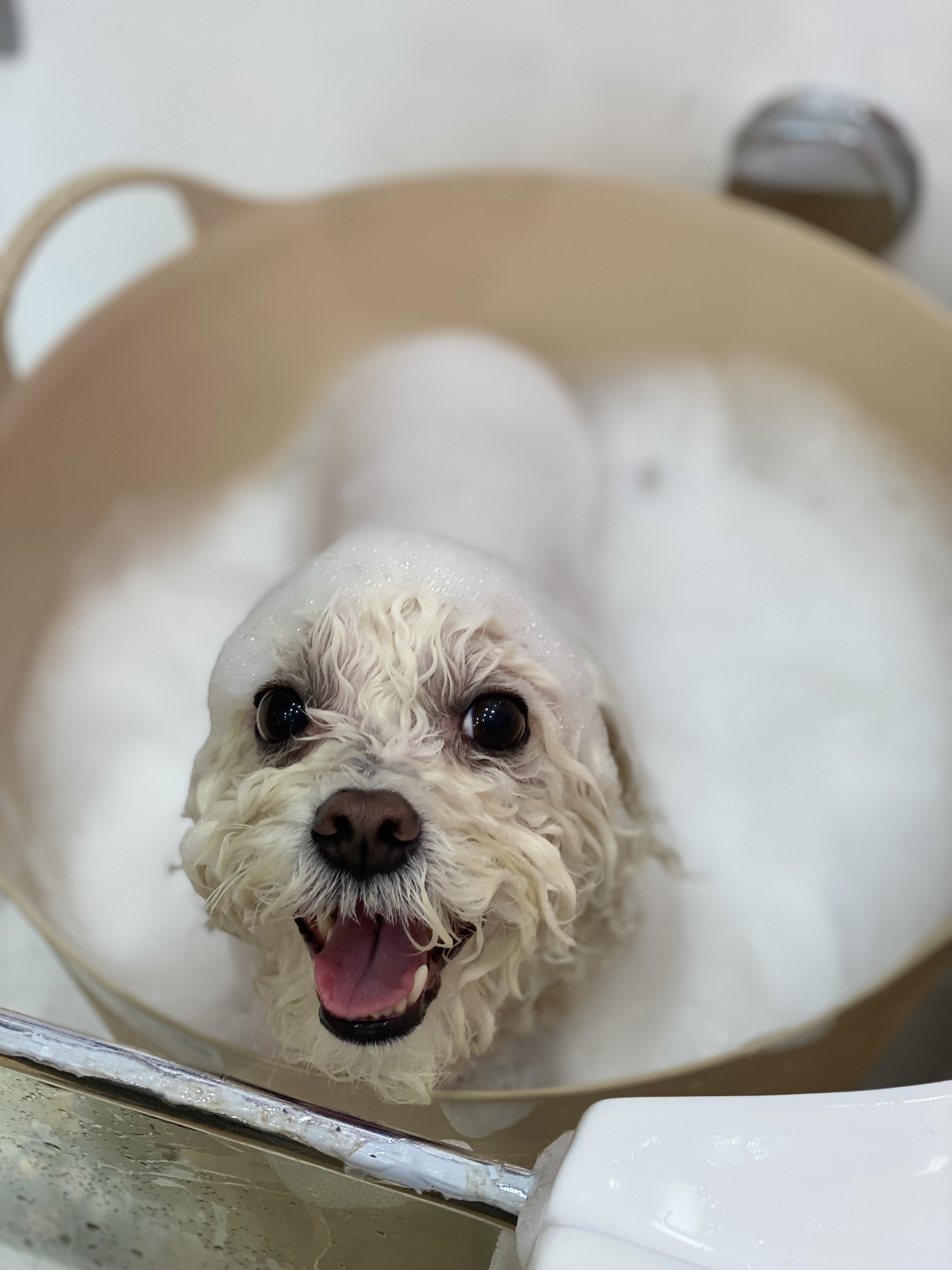 트리밍박스 대표 이미지