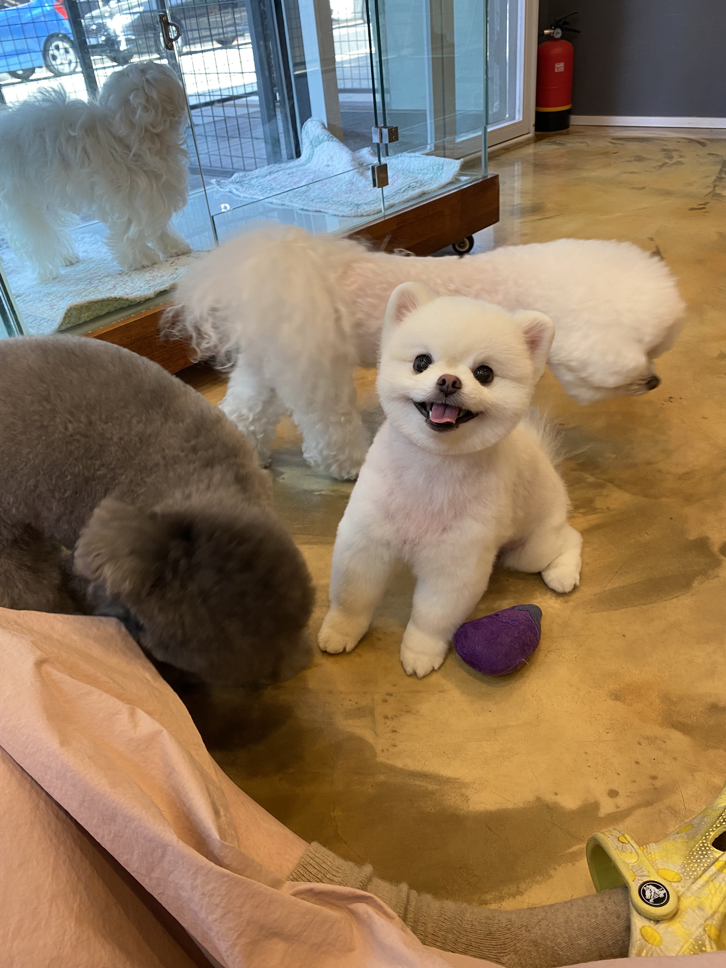 트리밍박스 대표 이미지
