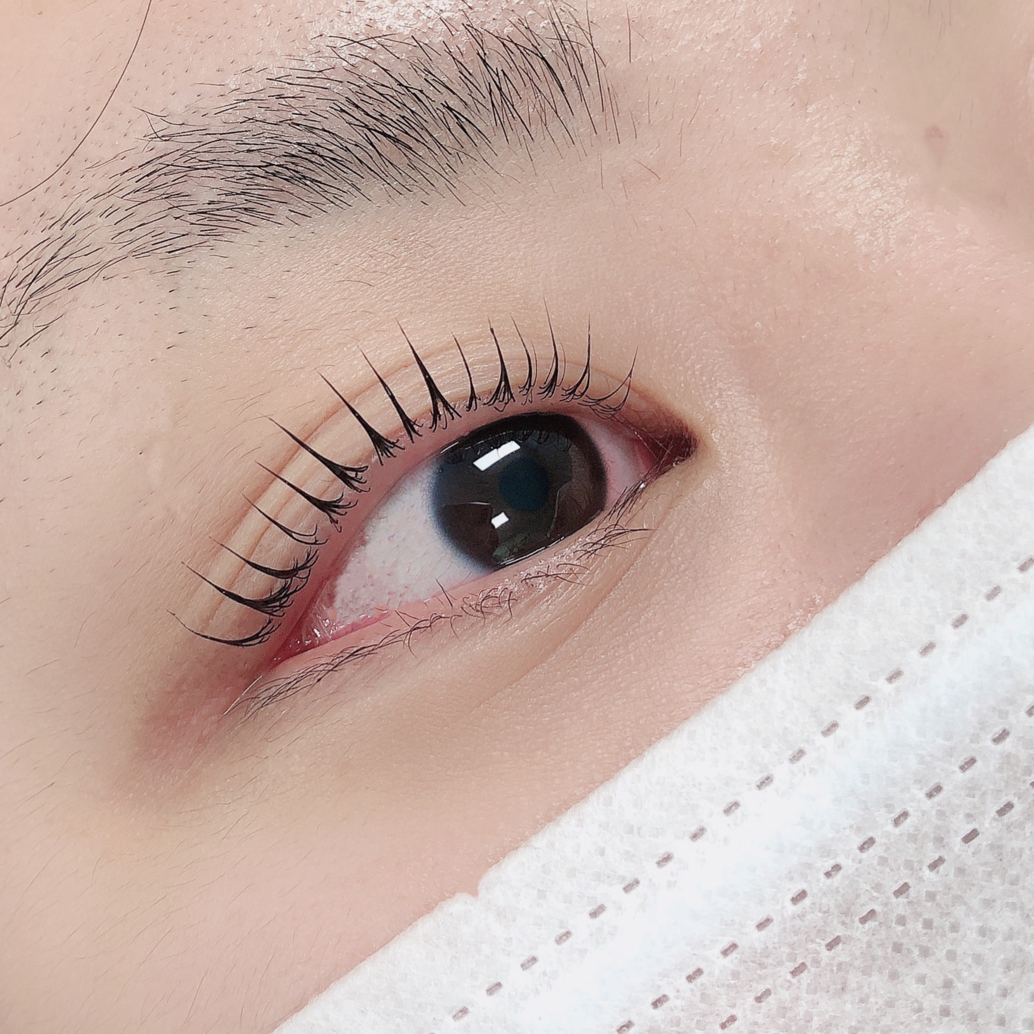 샤네일 대표 이미지