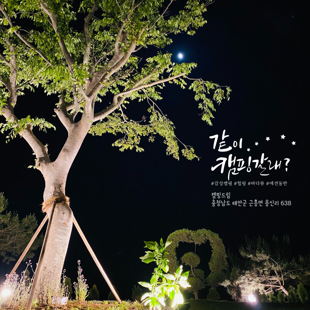 캠핑드림 캠핑장
