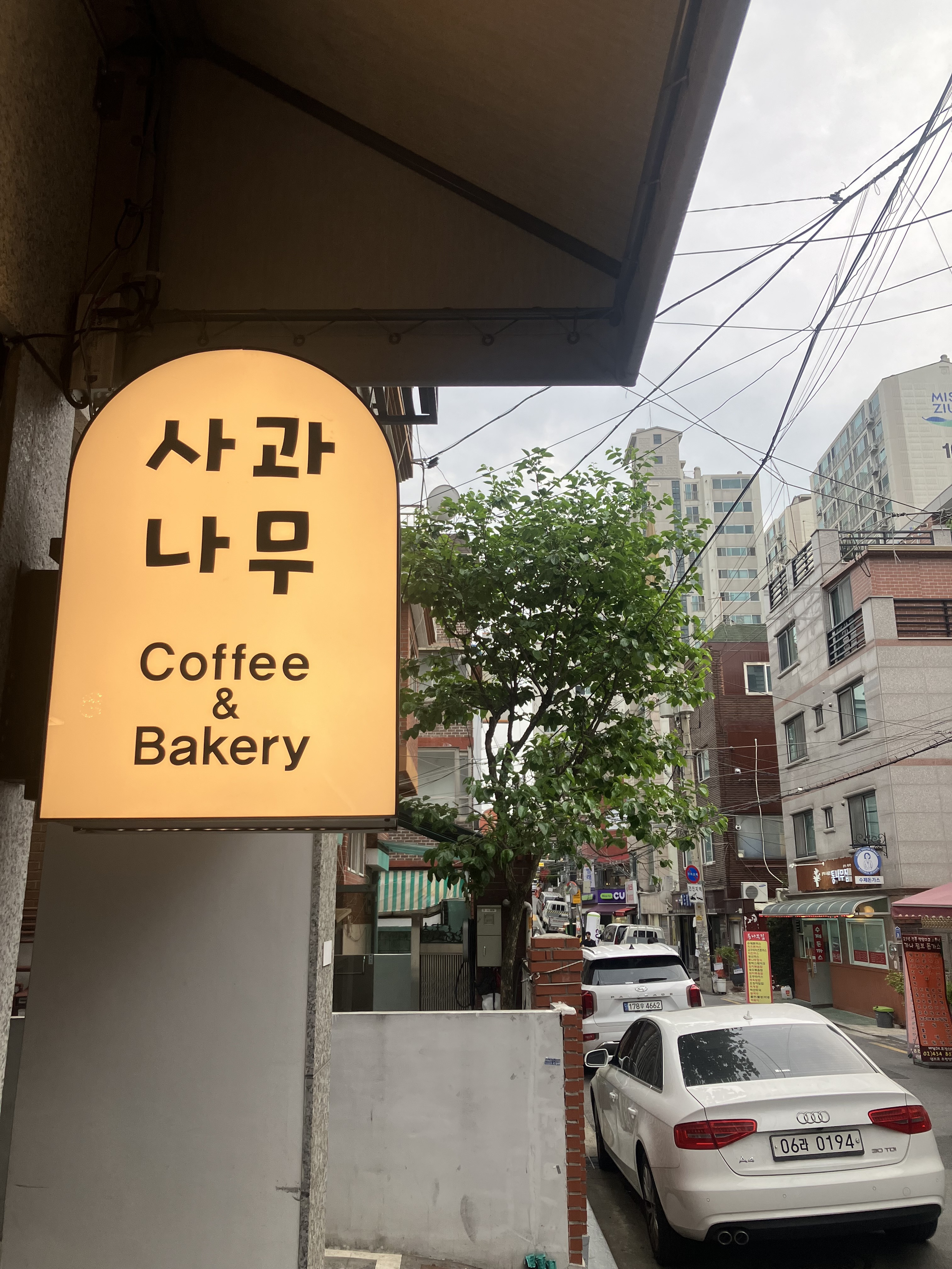 사과나무 카페베이커리