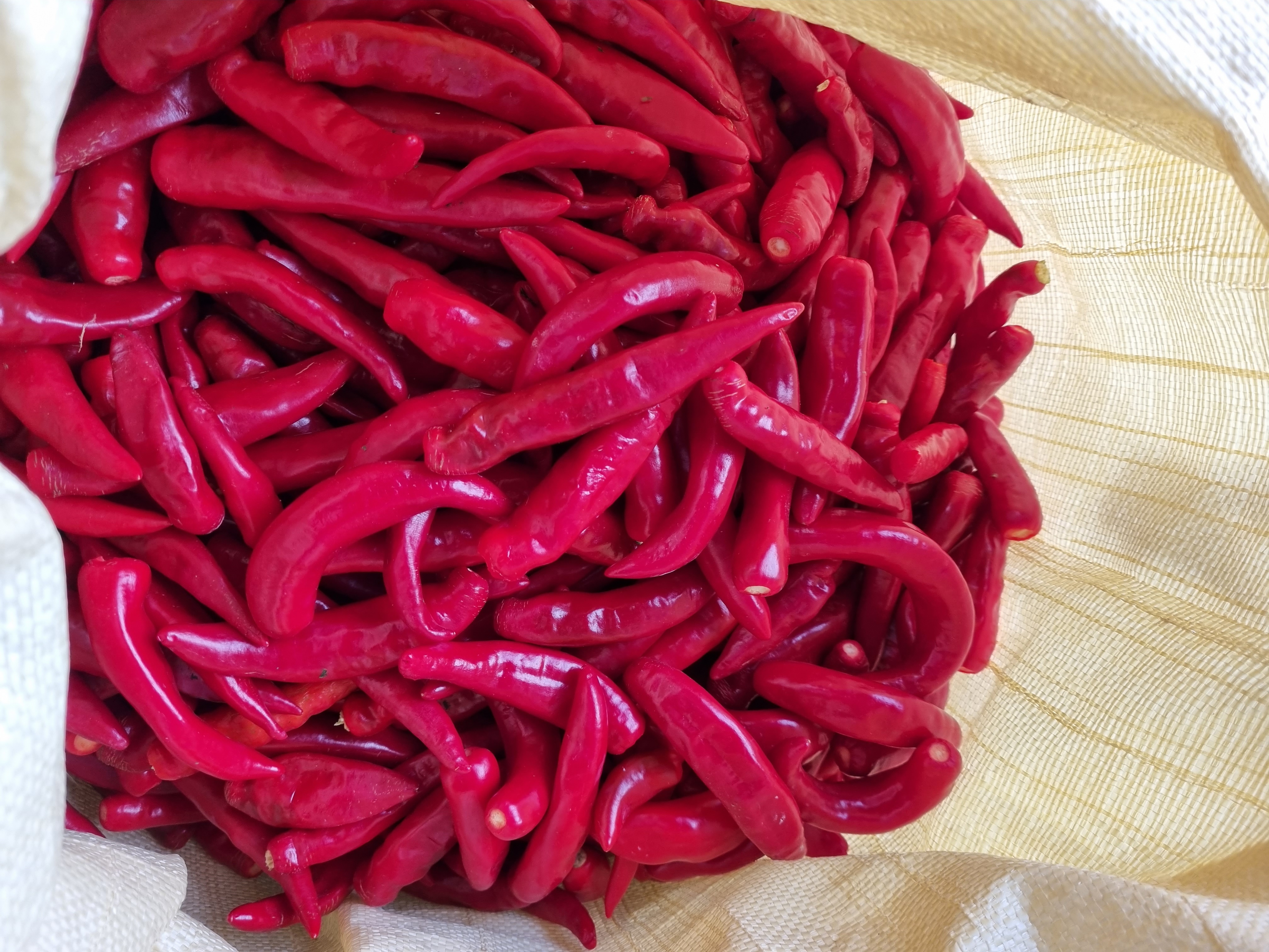 게으른 농부네 대표 이미지