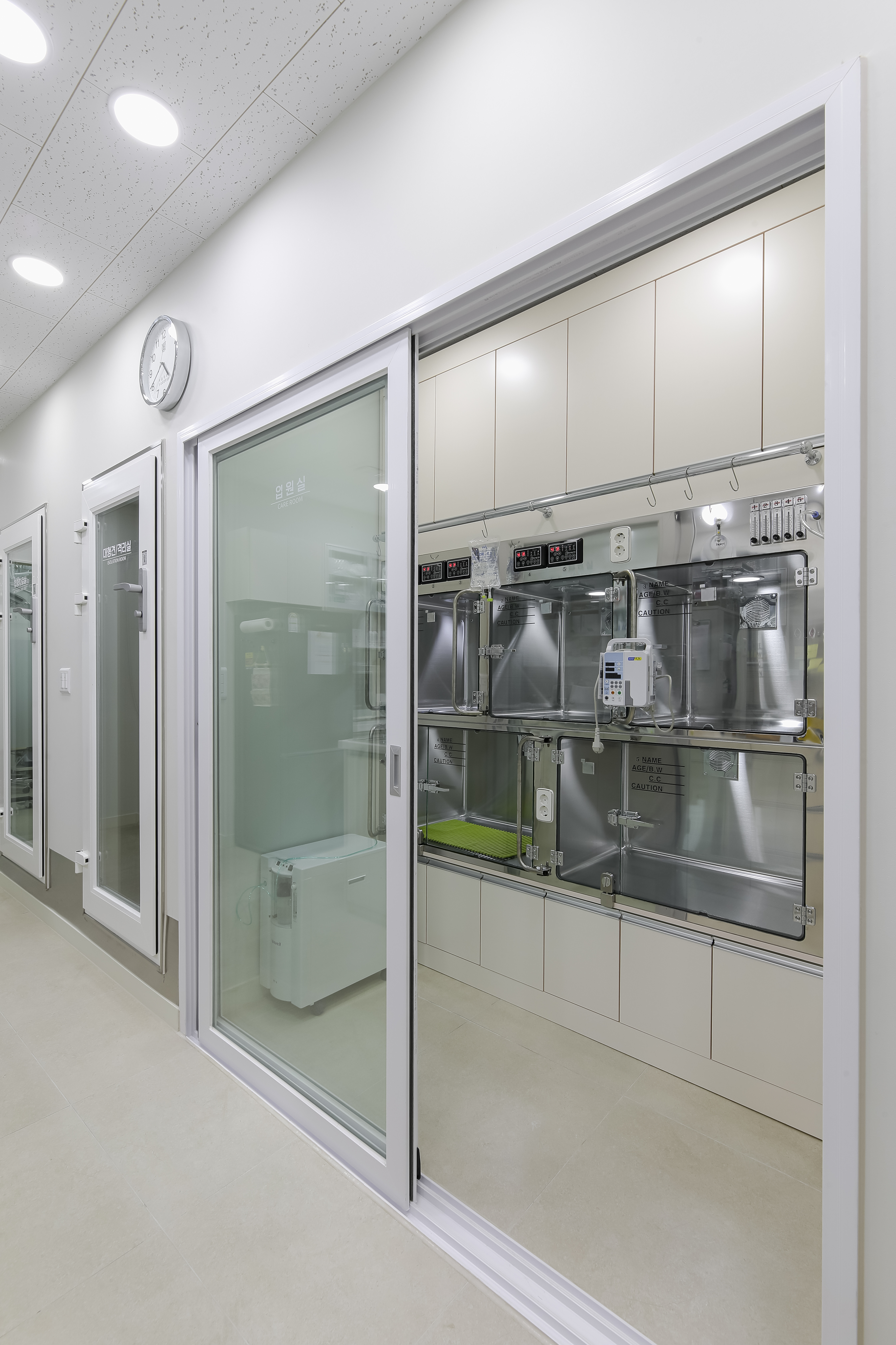 메이플동물병원 대표 이미지