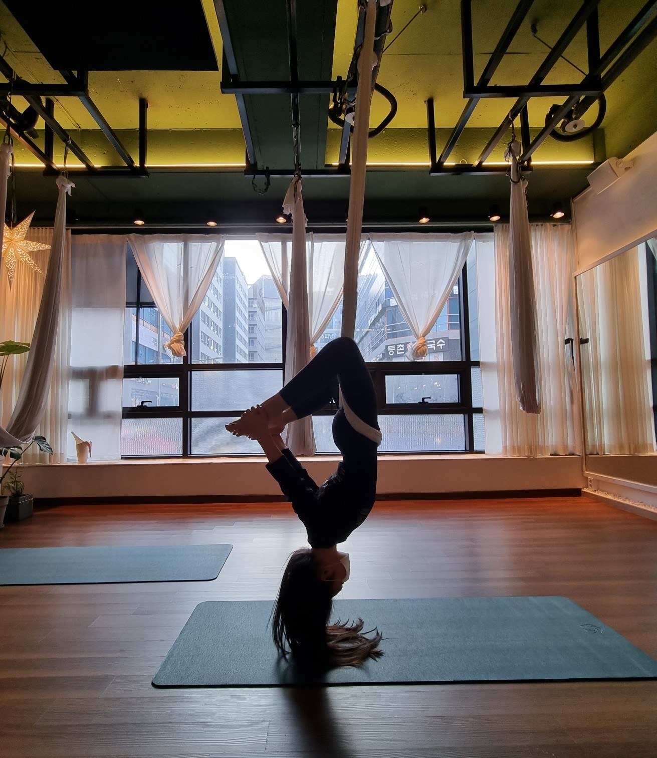 와이즈 플라잉 앤 번지 대표 이미지