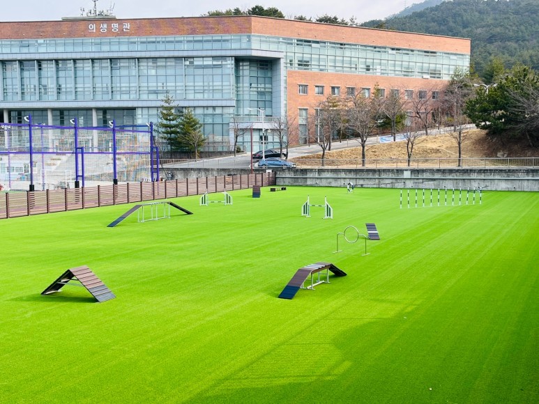 신라대학교 동물행동교정교육장 대표 이미지