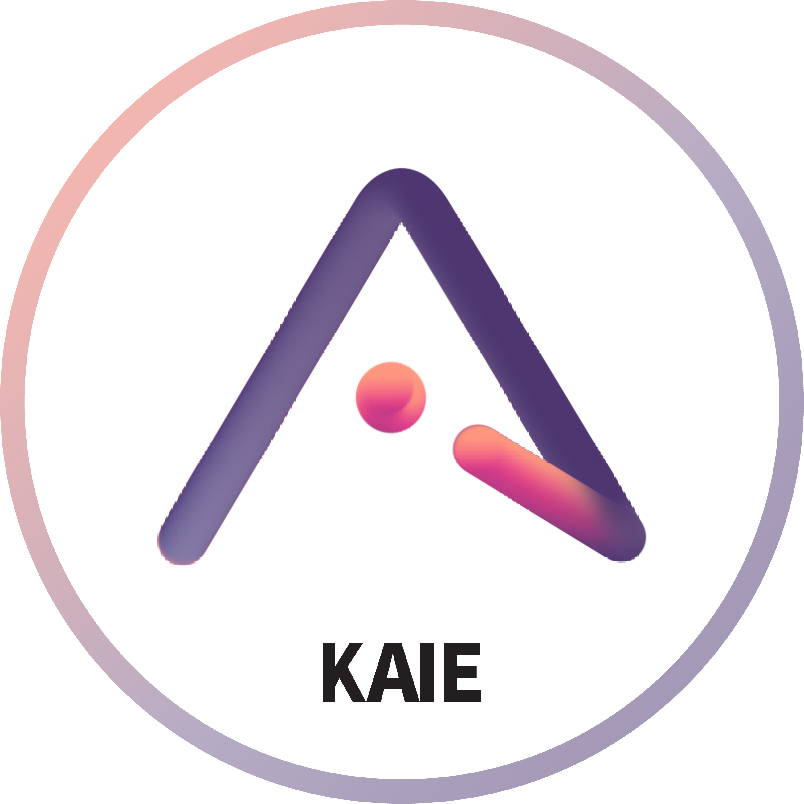 한국인공지능교육원 KAIE