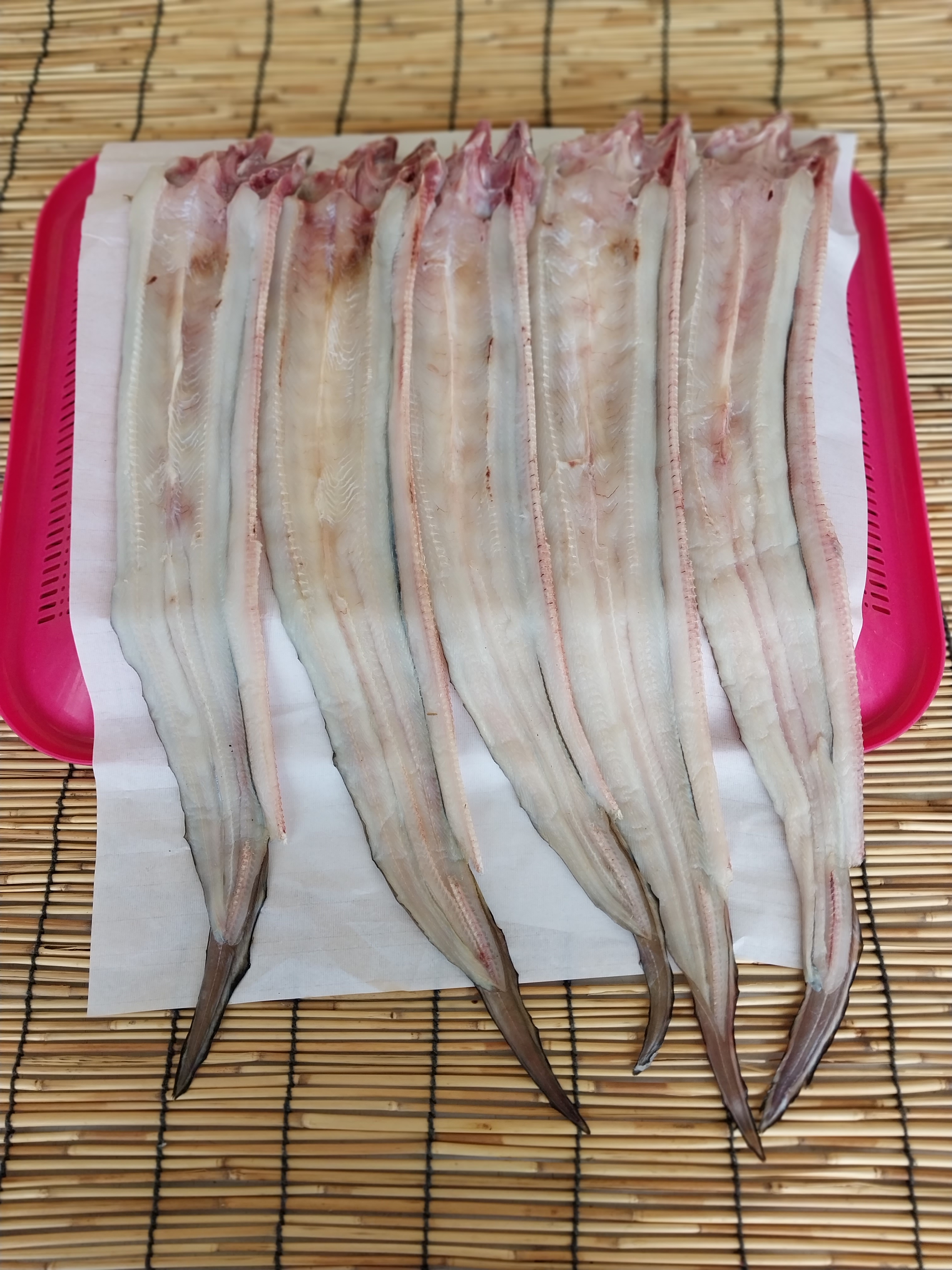 55호주야수산