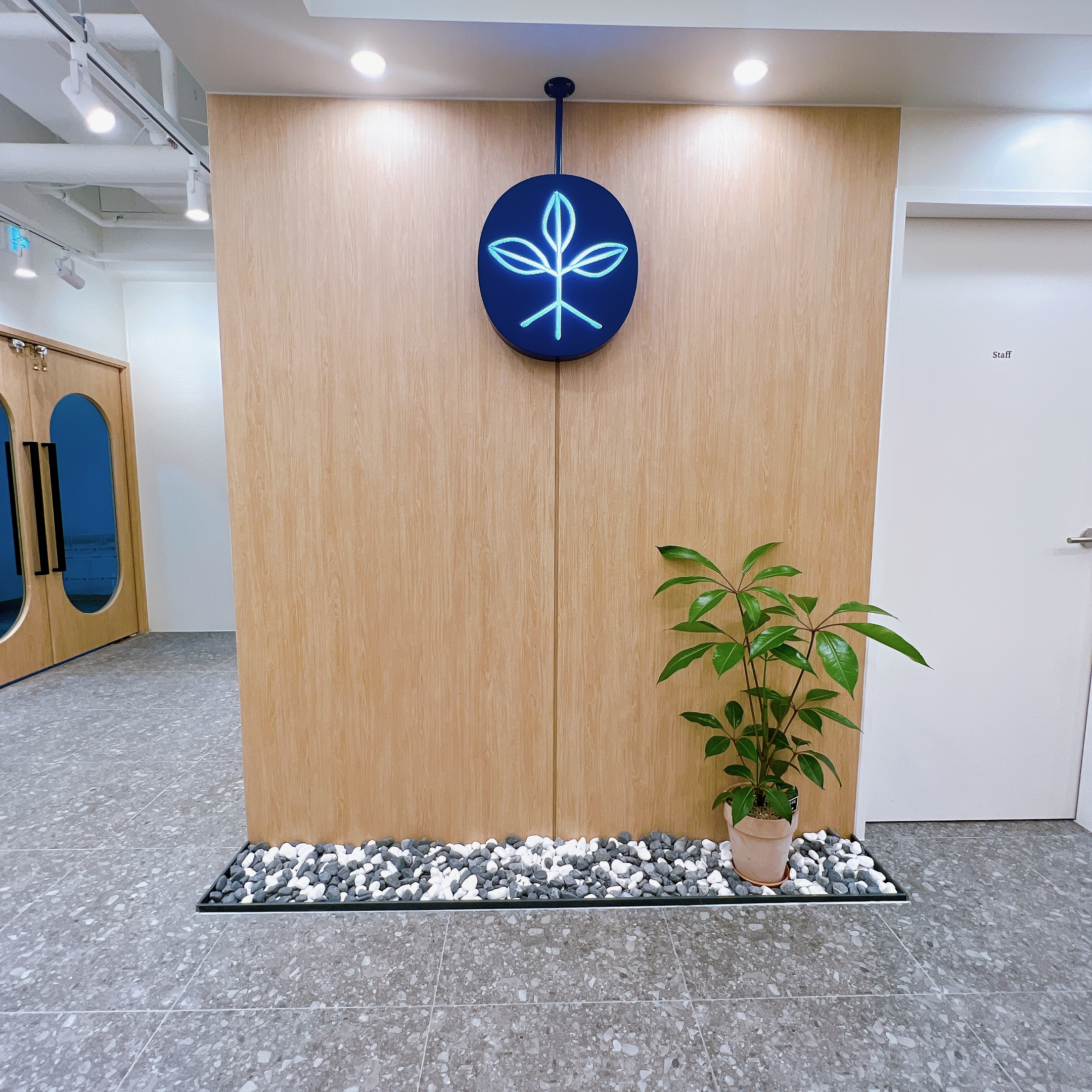 하루두피 대표 이미지