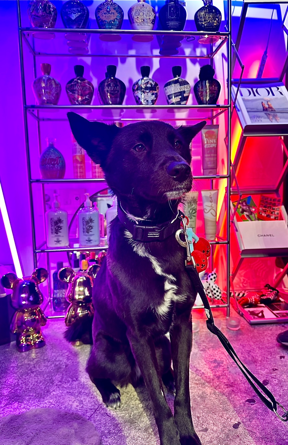 탠더 이태원 대표 이미지