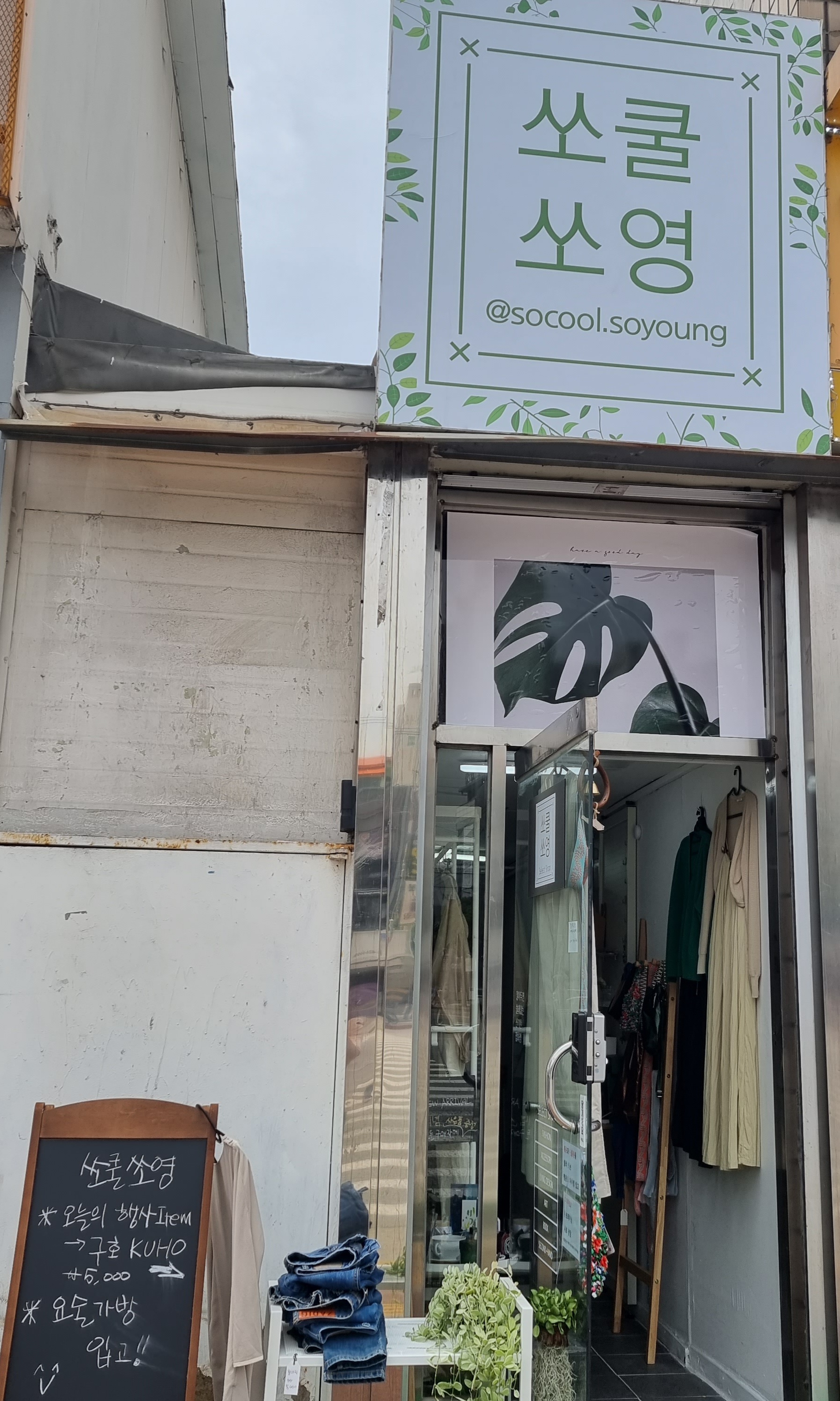 쏘쿨쏘영