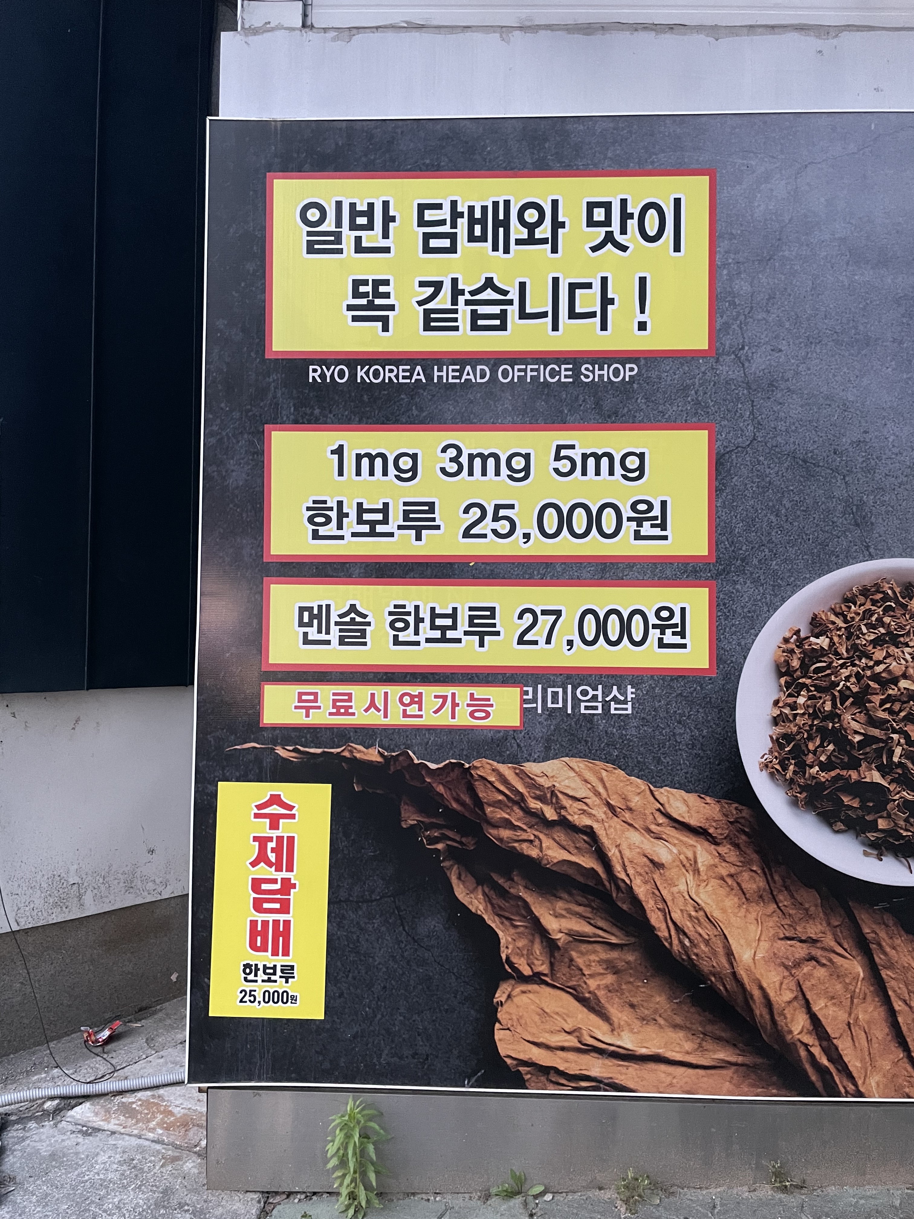 알와이오 서재점