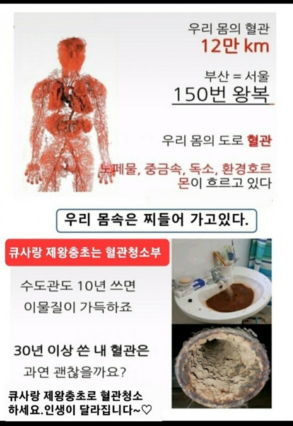 큐사랑 광양마동점 대표 이미지