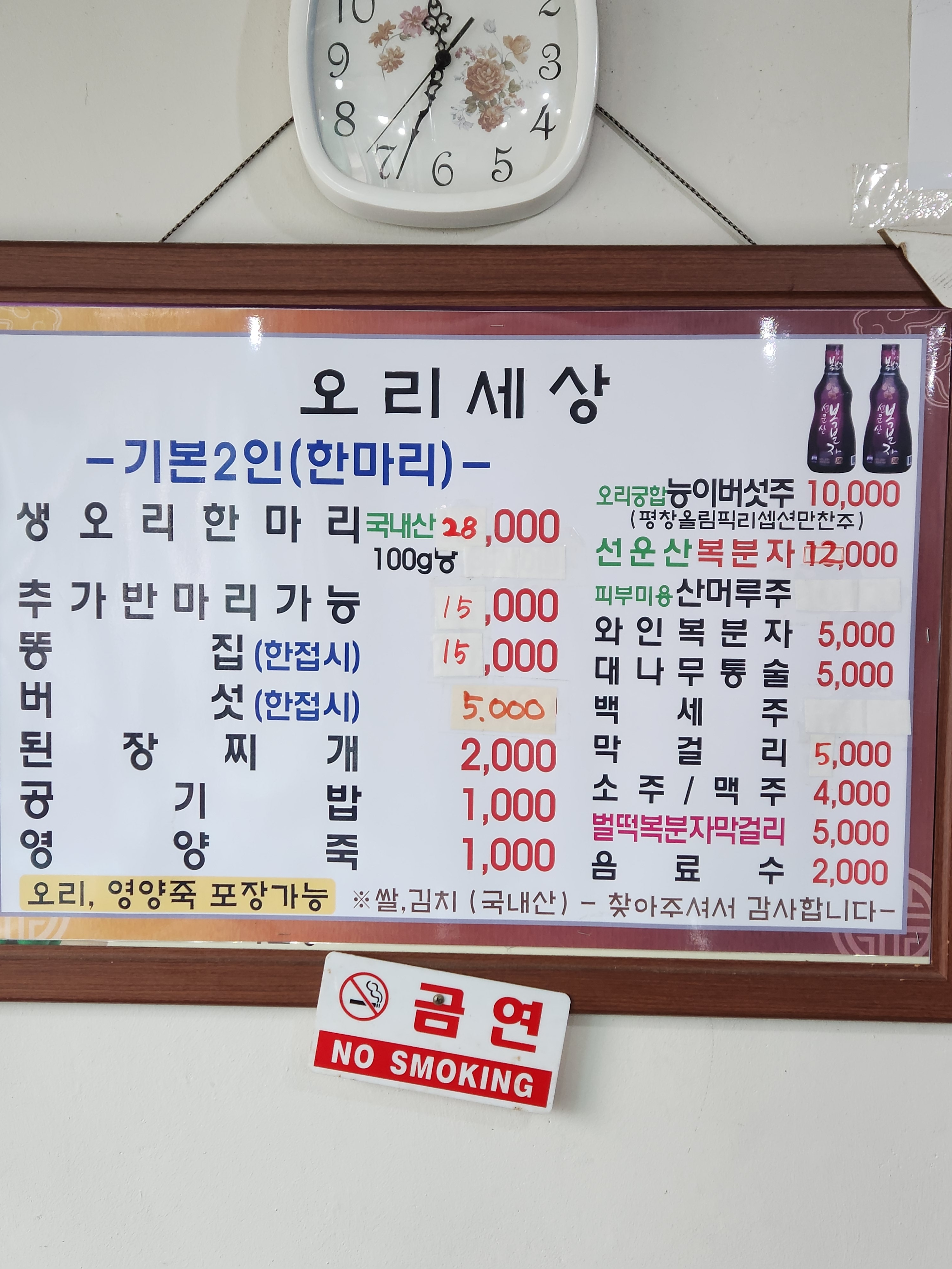 오리세상