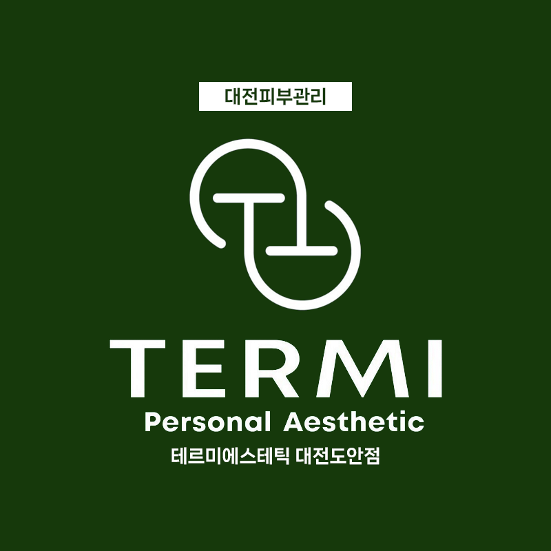 테르미 대전도안점