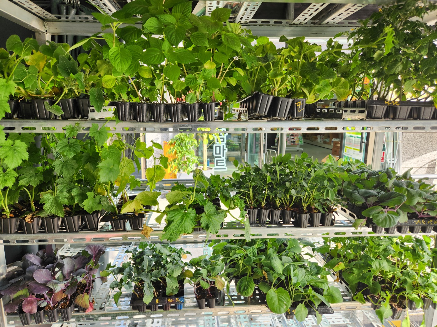 우리농약팜마트