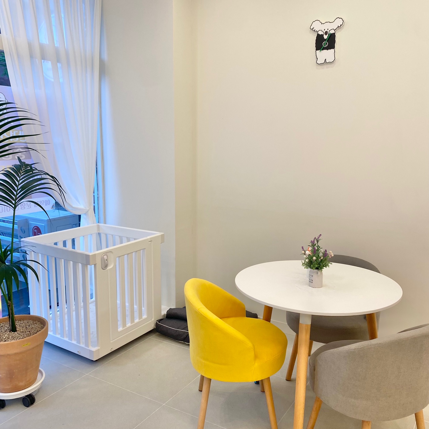 샤인몽스 대표 이미지