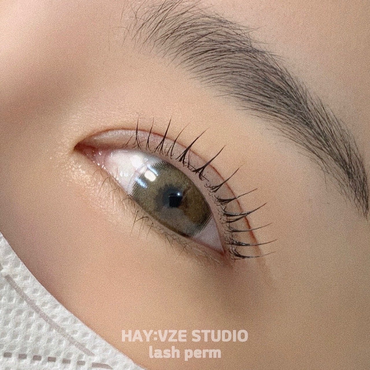 해이브제 스튜디오 대표 이미지