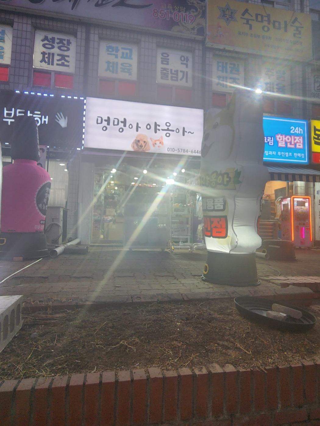 멍멍아야옹아