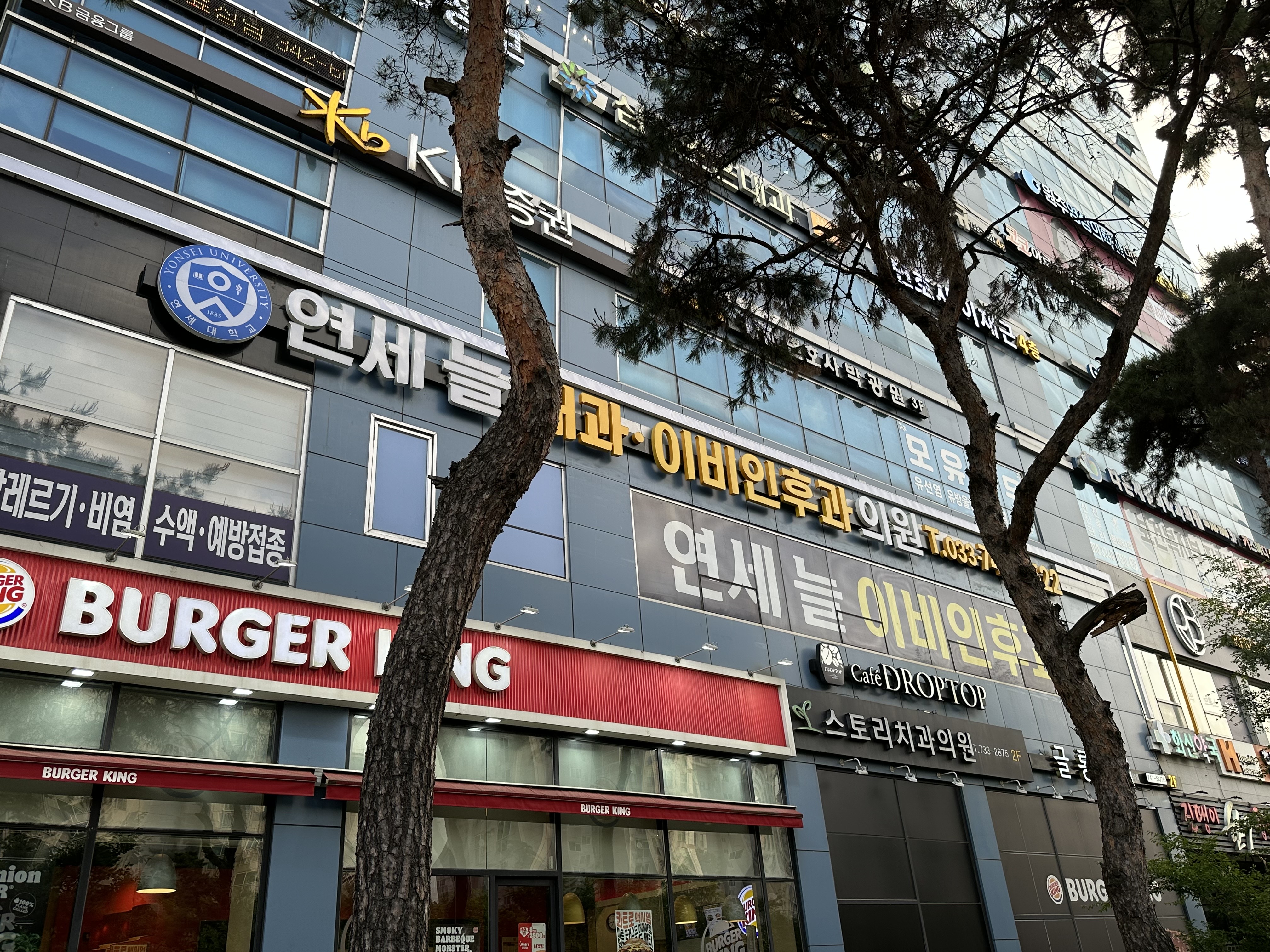 연세늘내과이비인후과의원