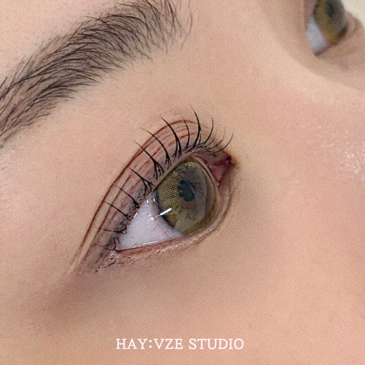 해이브제 스튜디오 대표 이미지