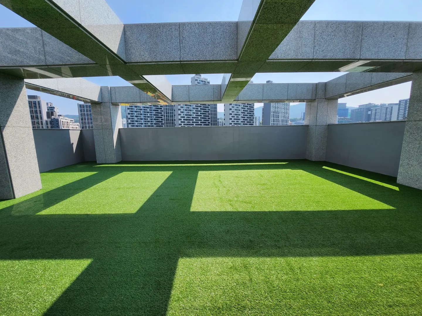 멍학당 강아지유치원 대표 이미지