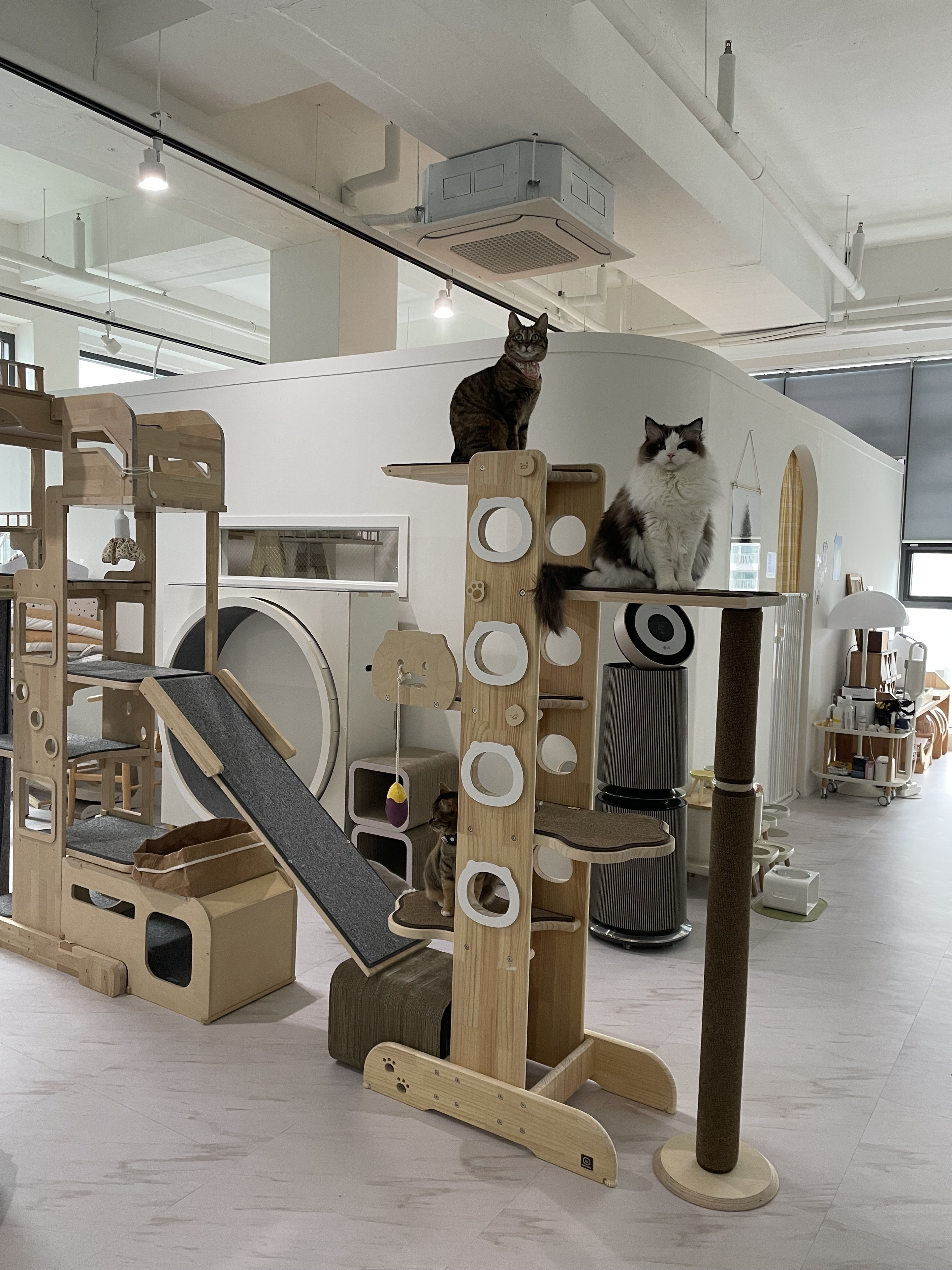 오냥오냥고양이호텔 대표 이미지