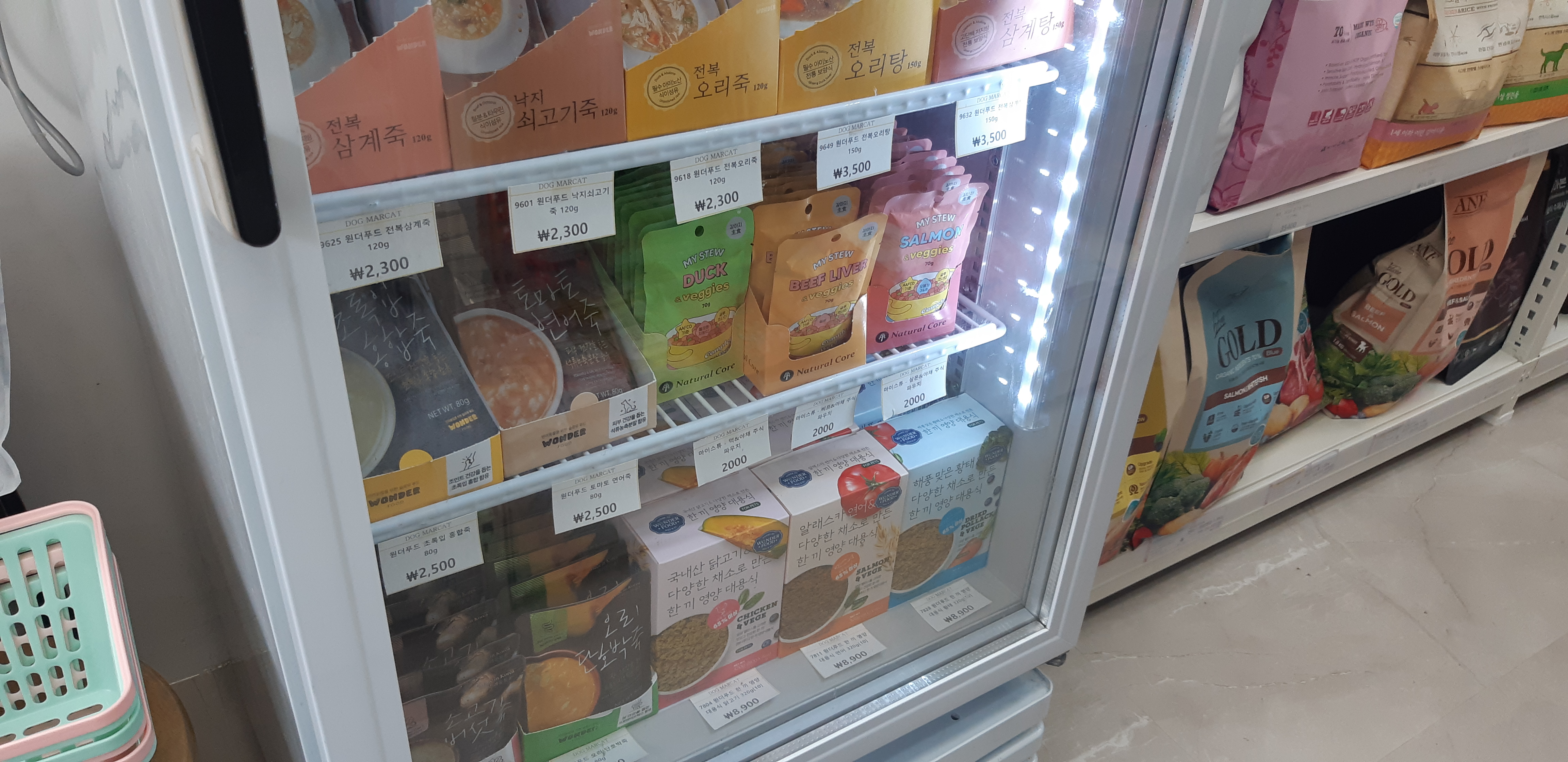 도그마캣 대표 이미지