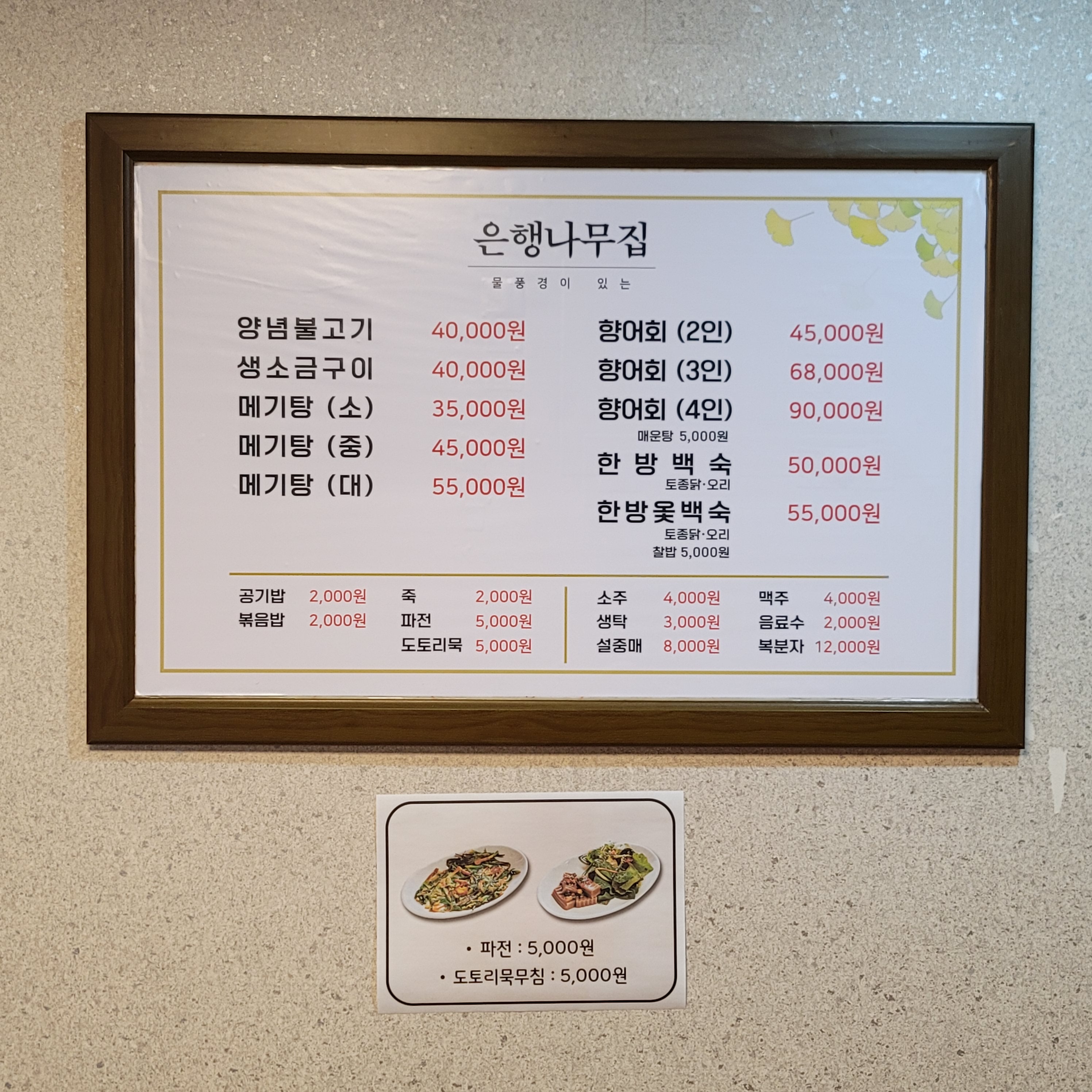 선동은행나무집