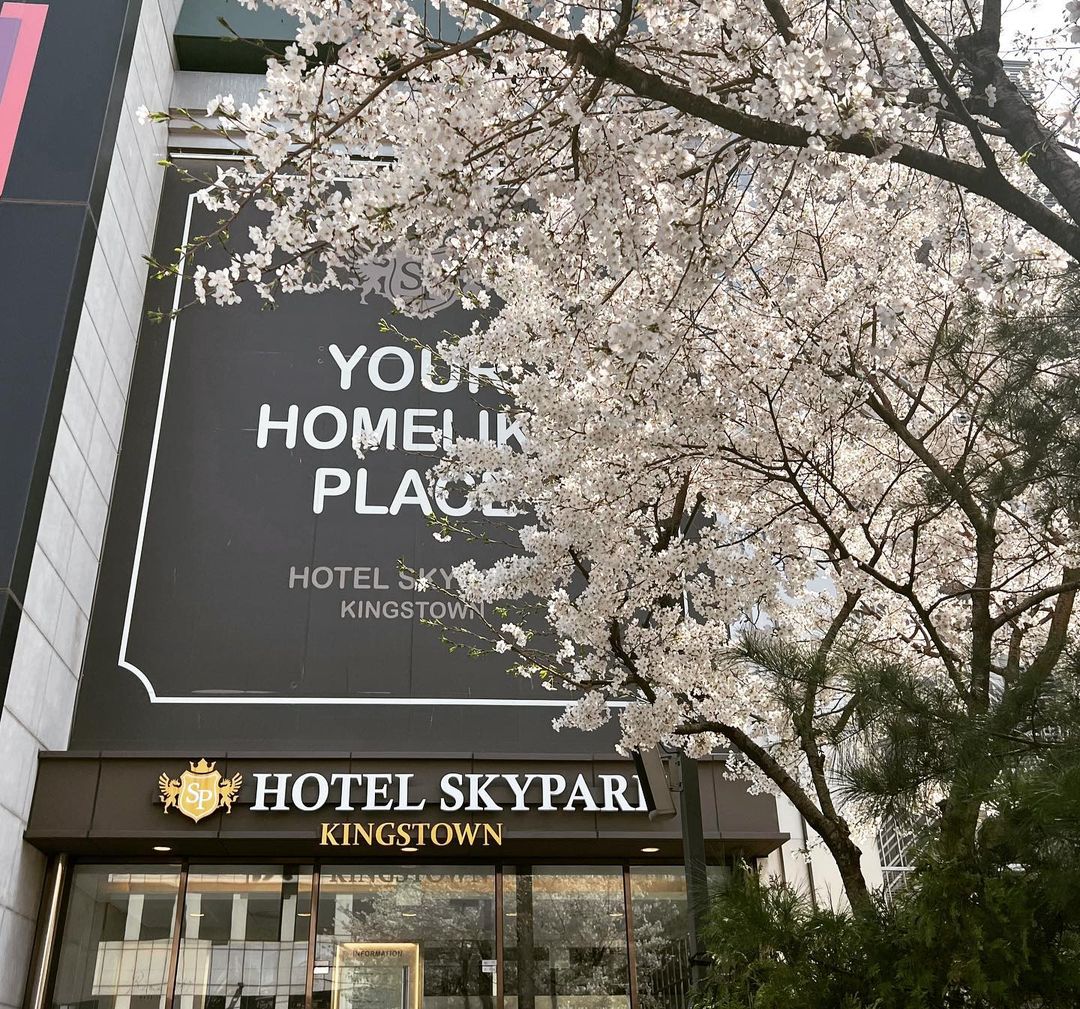 앤올리브에스테틱 대표 이미지