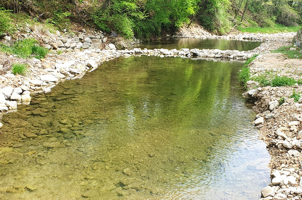 보랏빛 산채마을