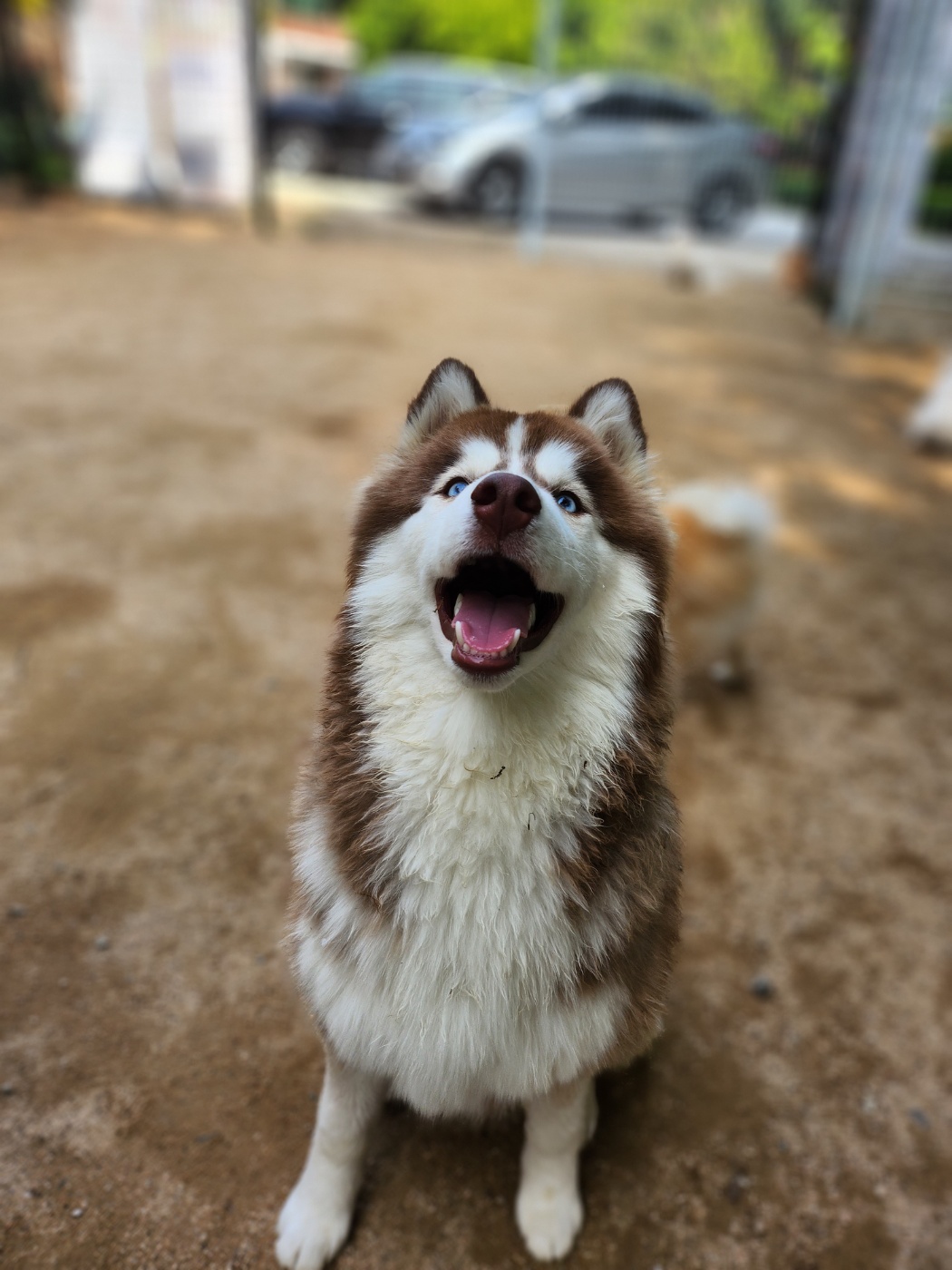 펠어커피초코 성신여대점 2