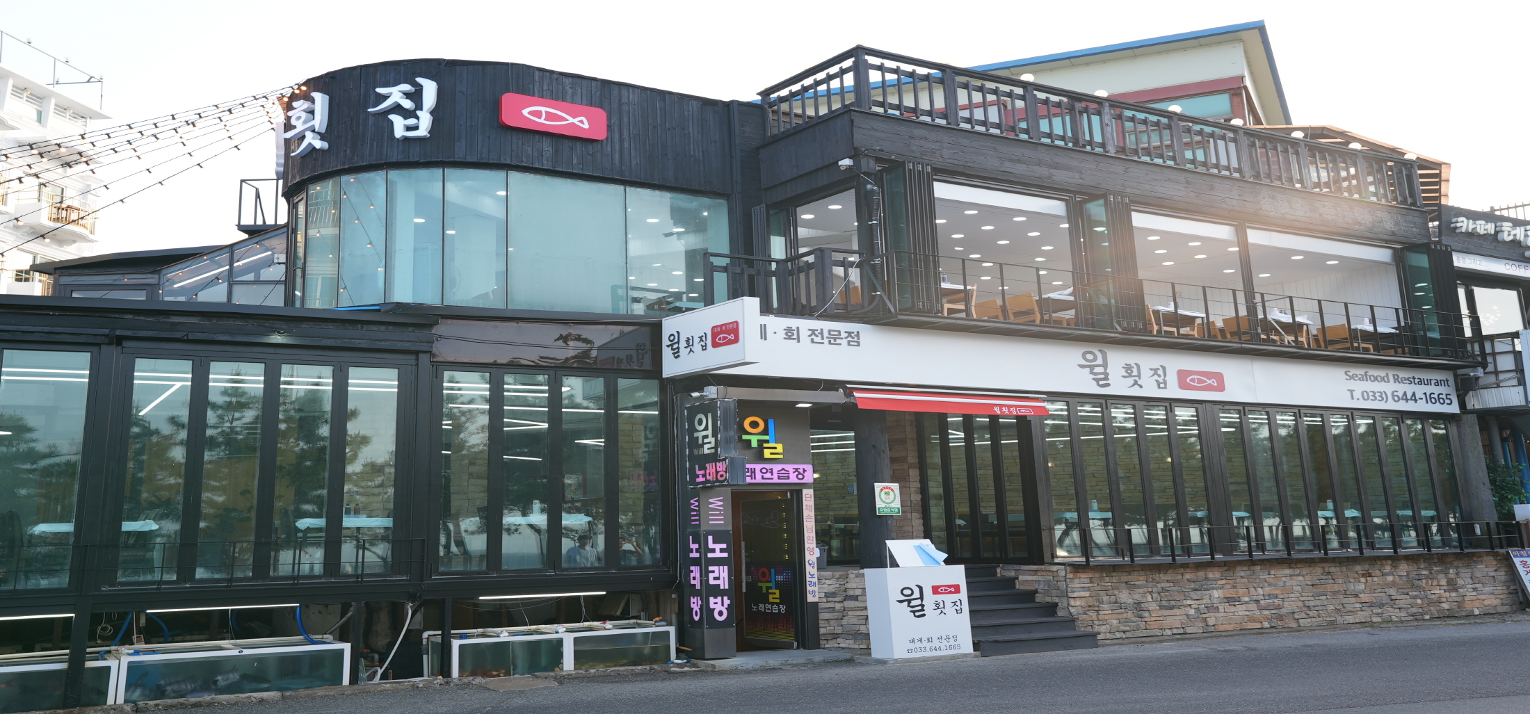 윌횟집
