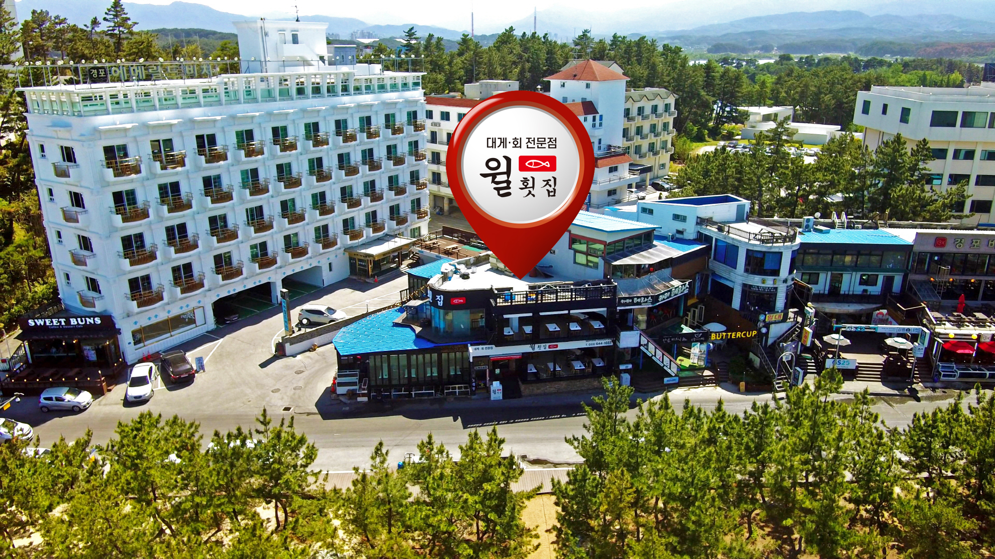 윌횟집