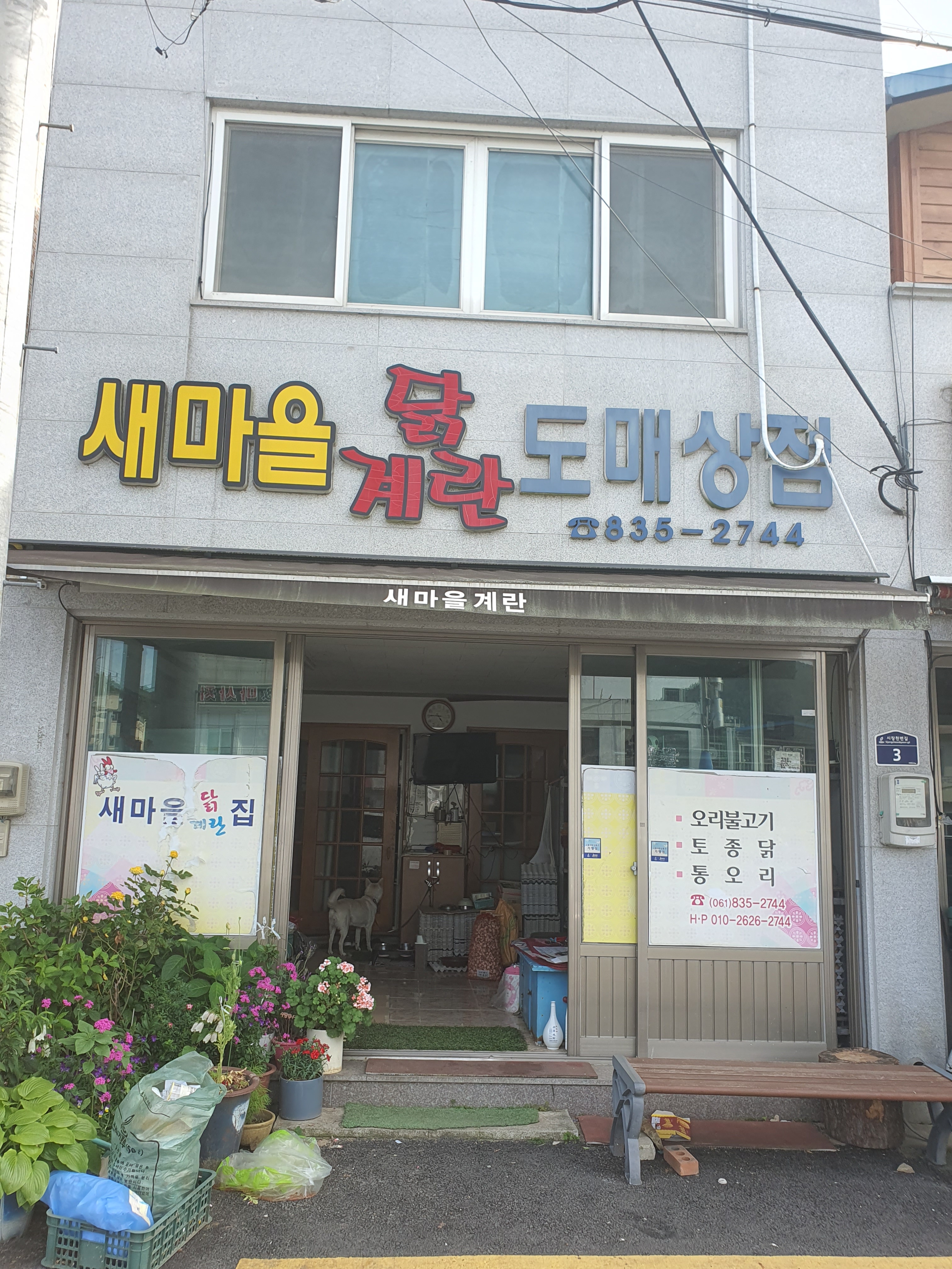 새마을닭집