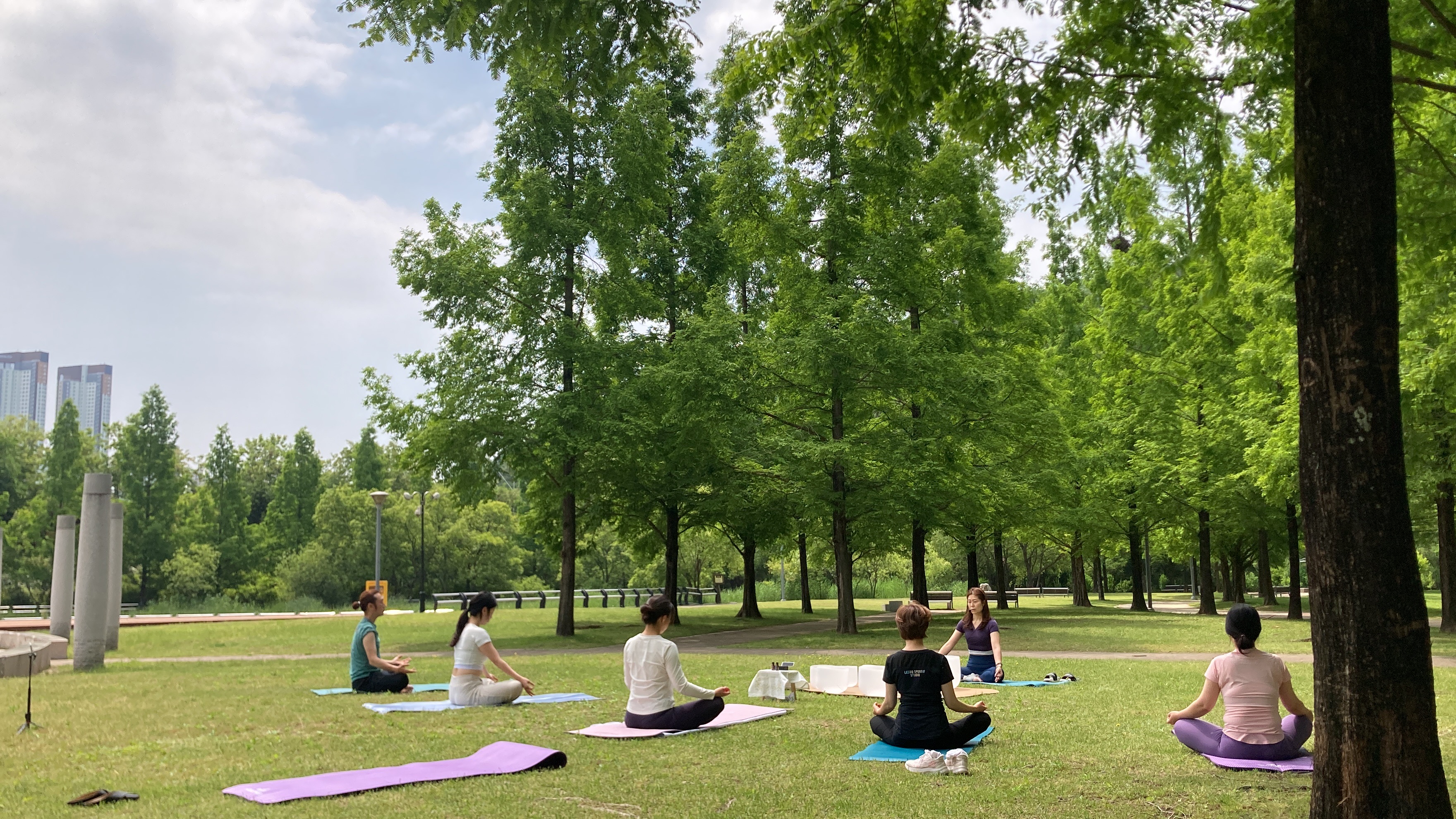디야나 요가&아로마공방 대표 이미지