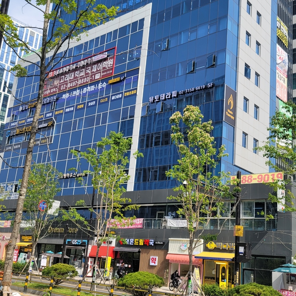 뮤토테라피