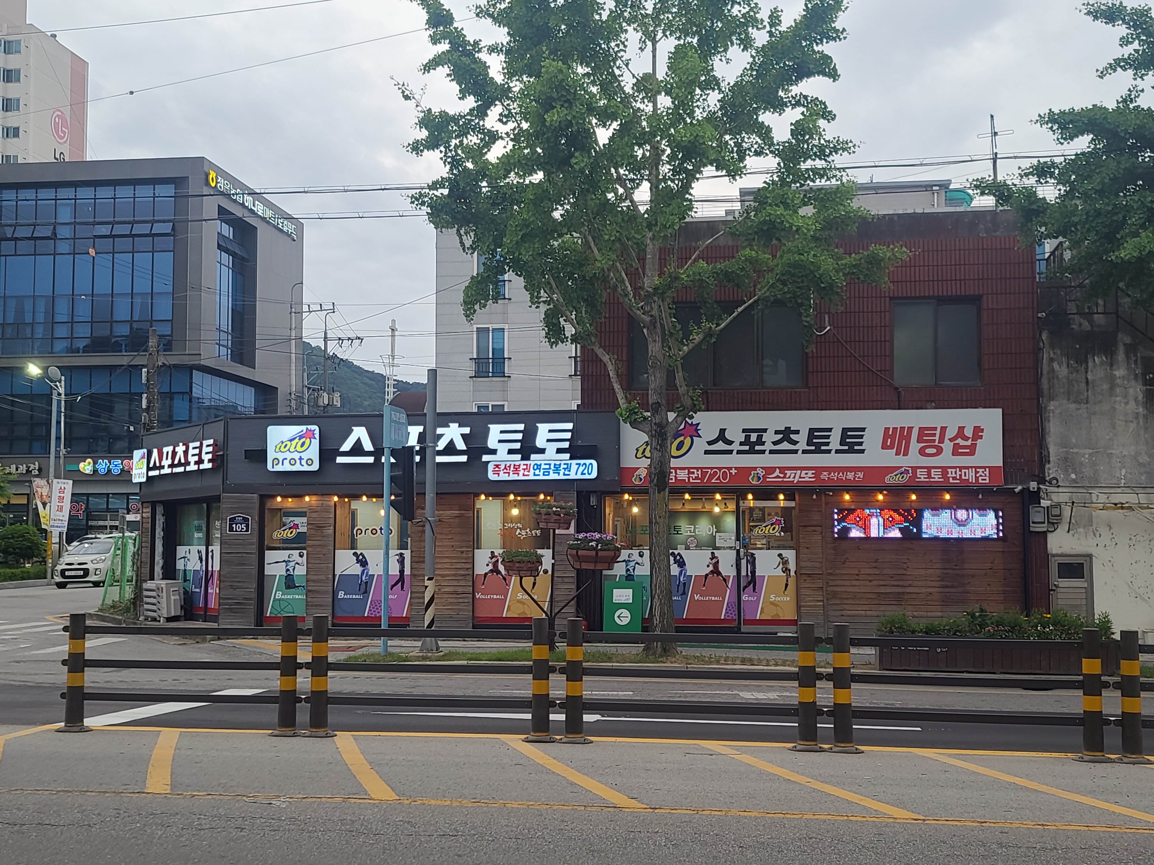 스포츠토토