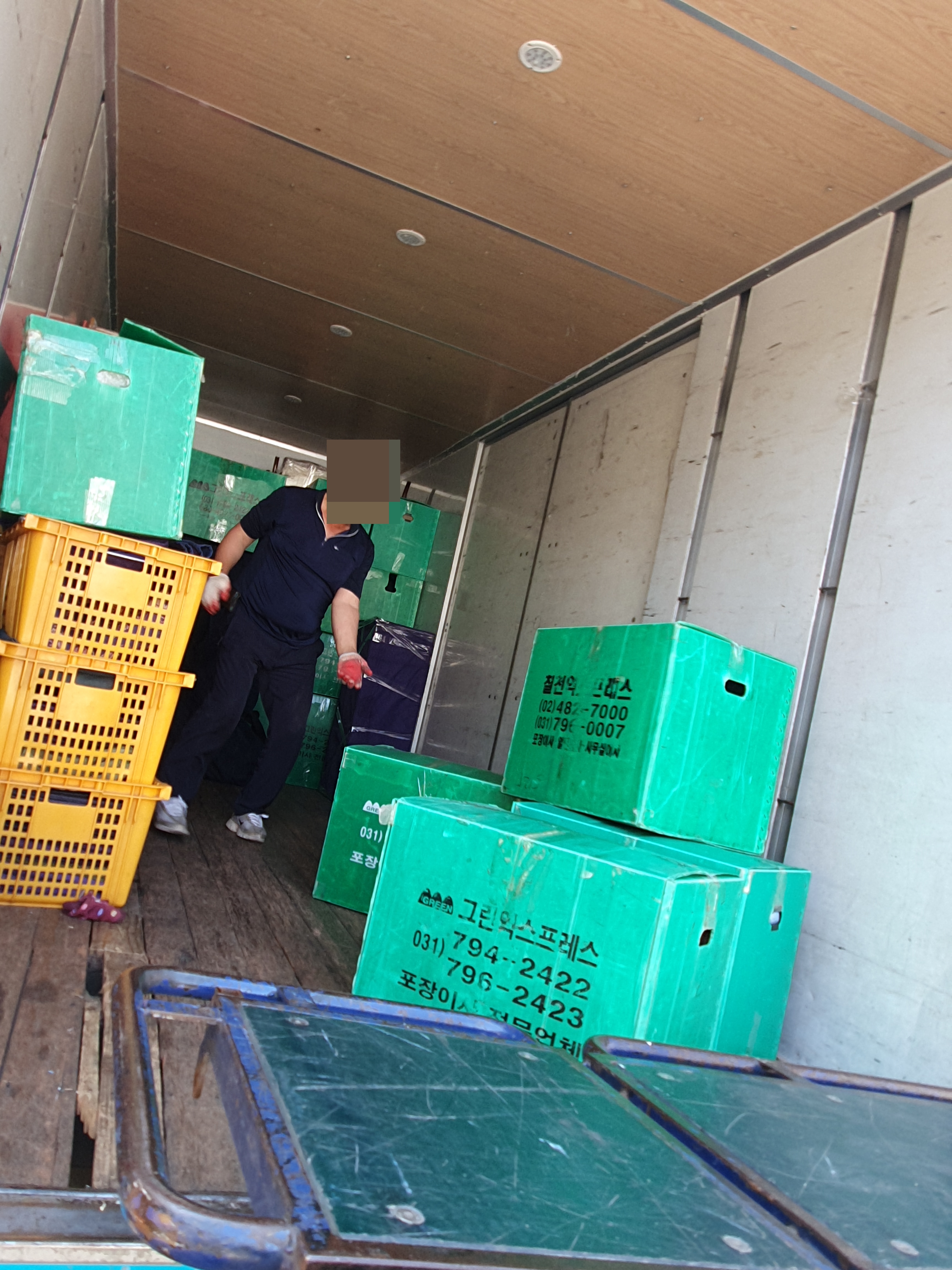 그린익스프레스 대표 이미지