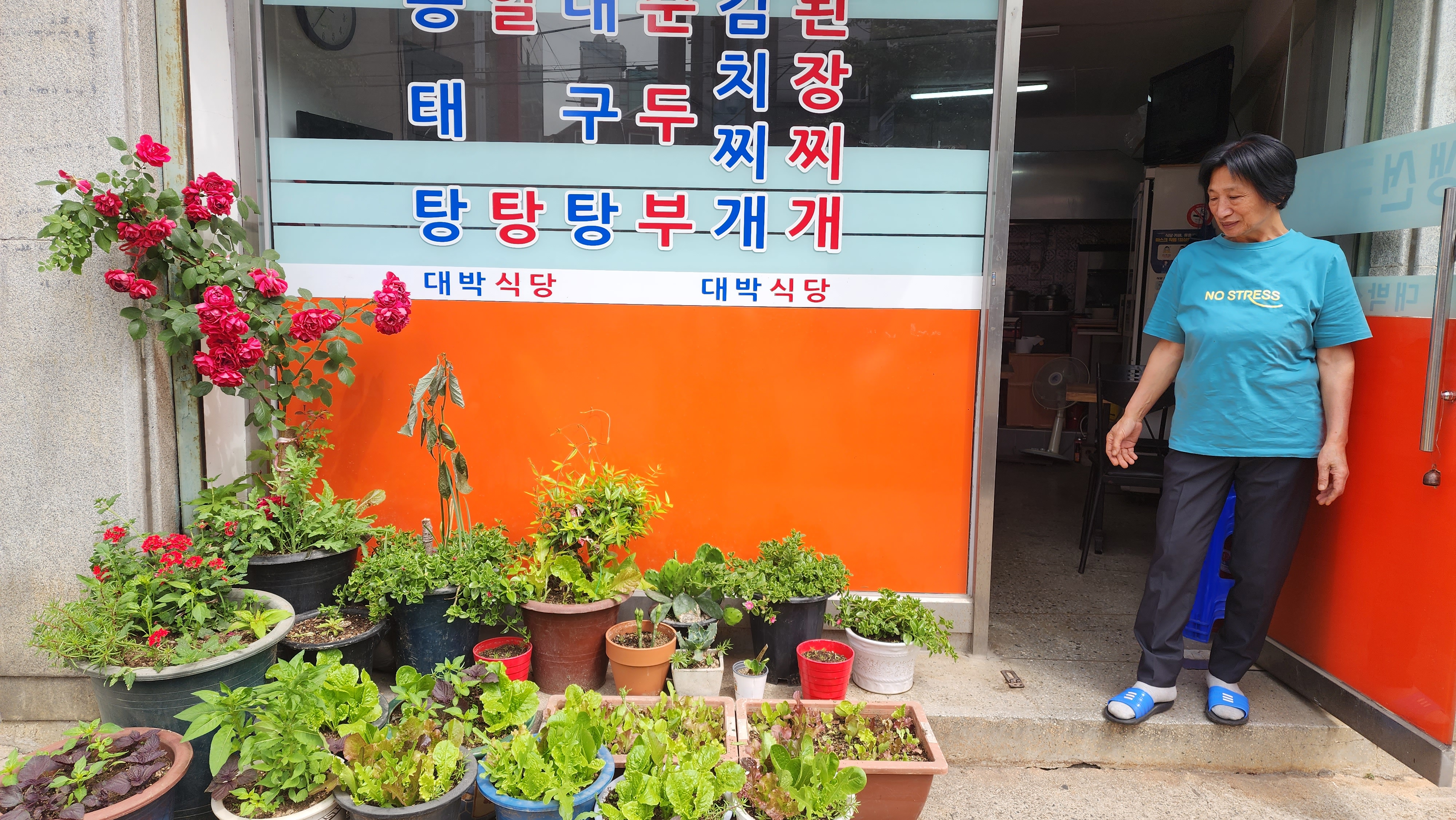 대박식당포차