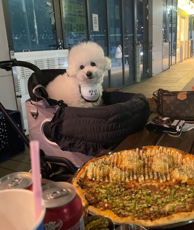 오비피씨