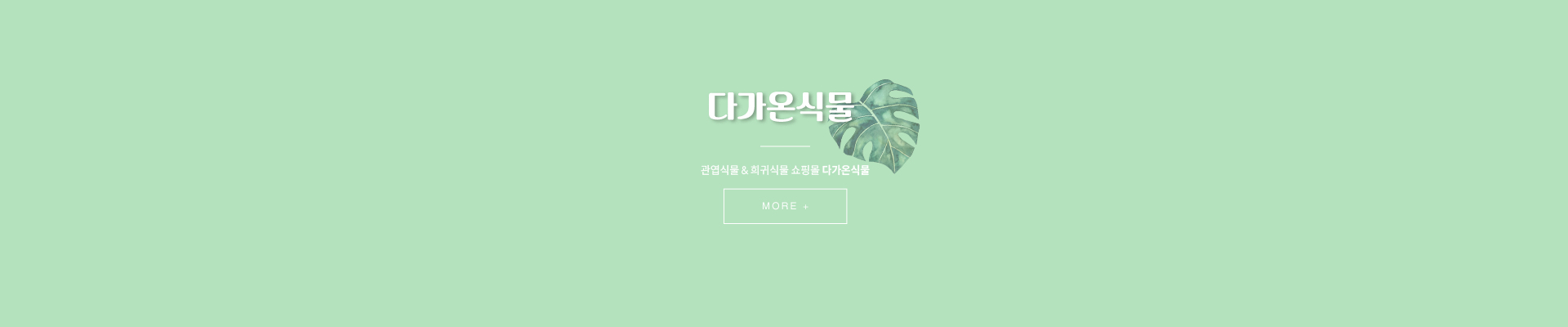 다가온 식물