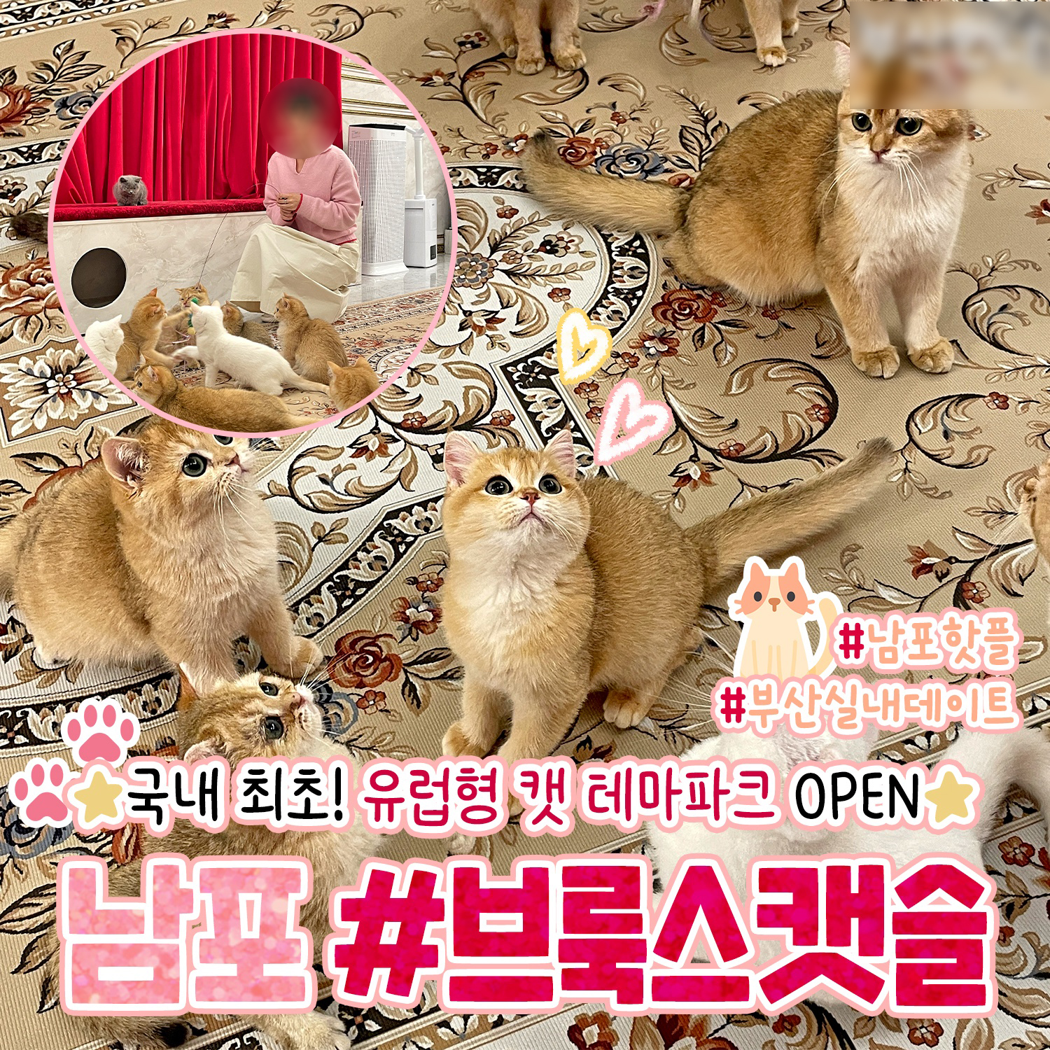 브룩스캣슬 부산