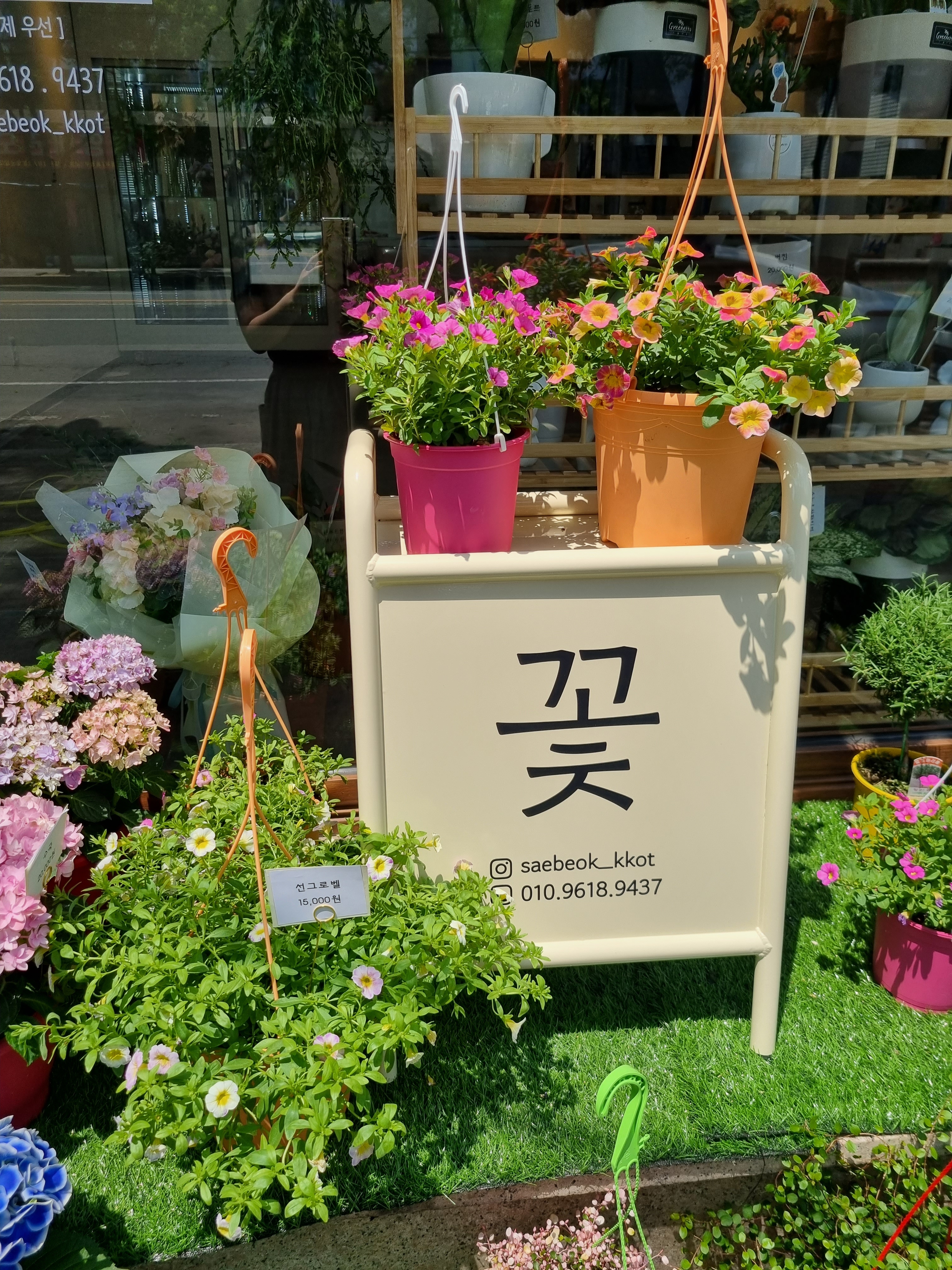 새벽꽃방
