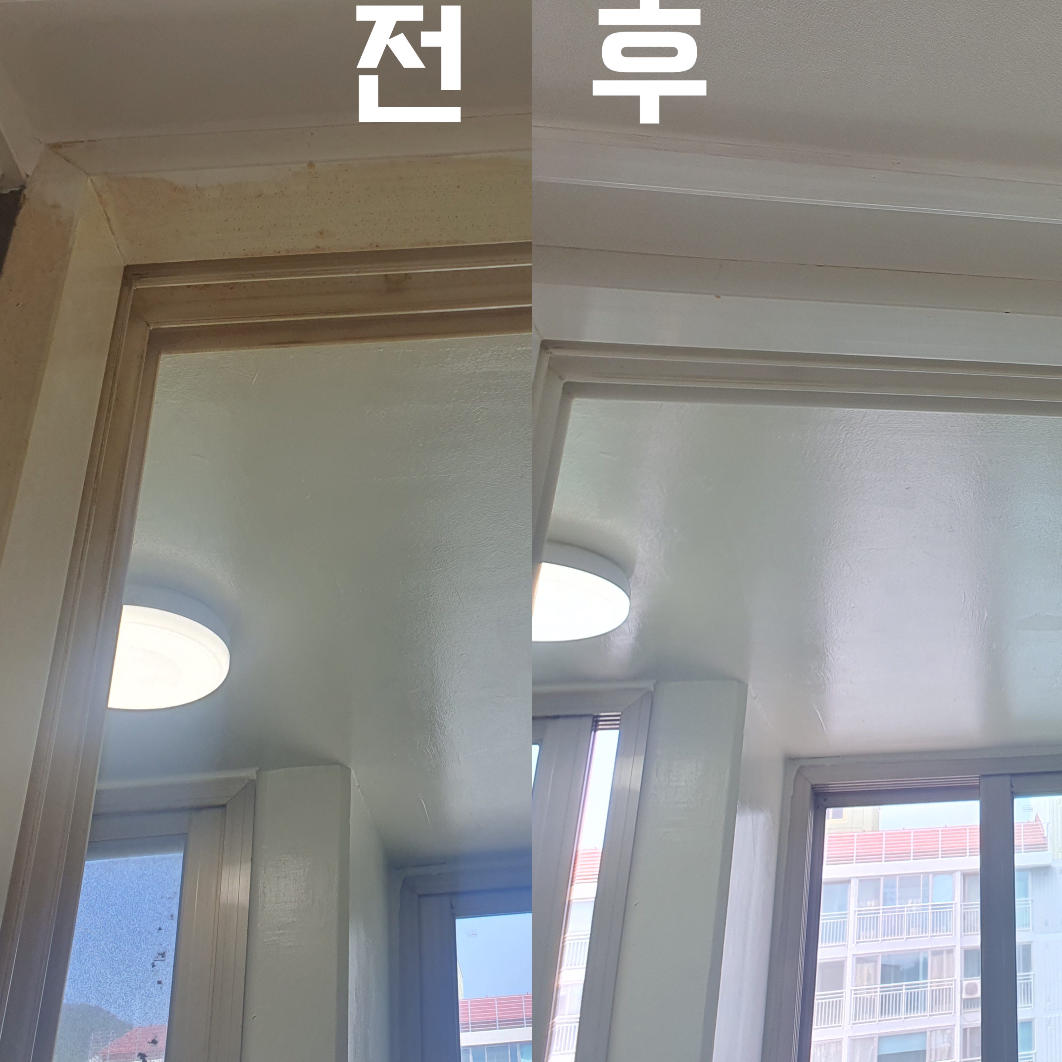 진빼이클린 대표 이미지