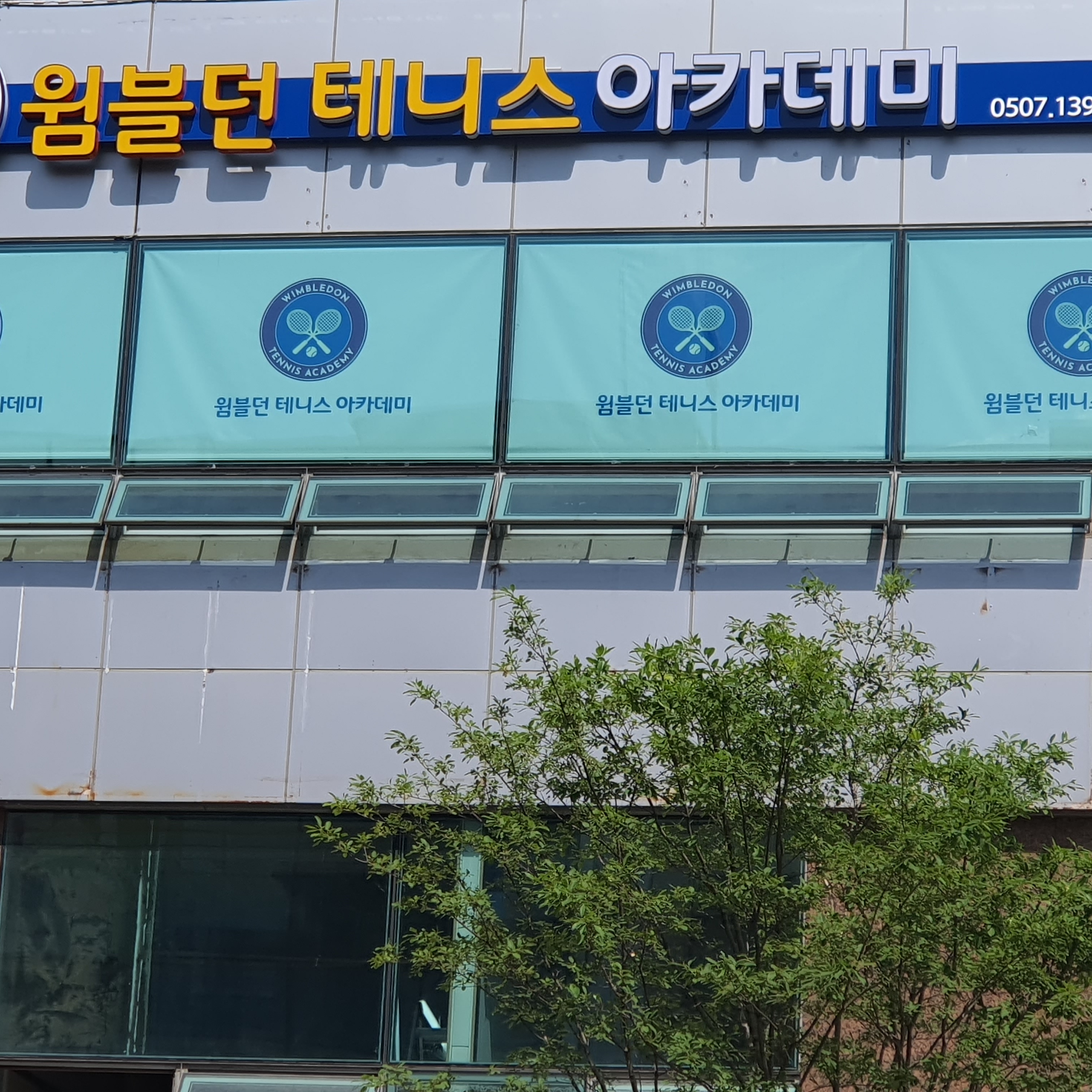 윔블던 실내 테니스 아카데미 진영점