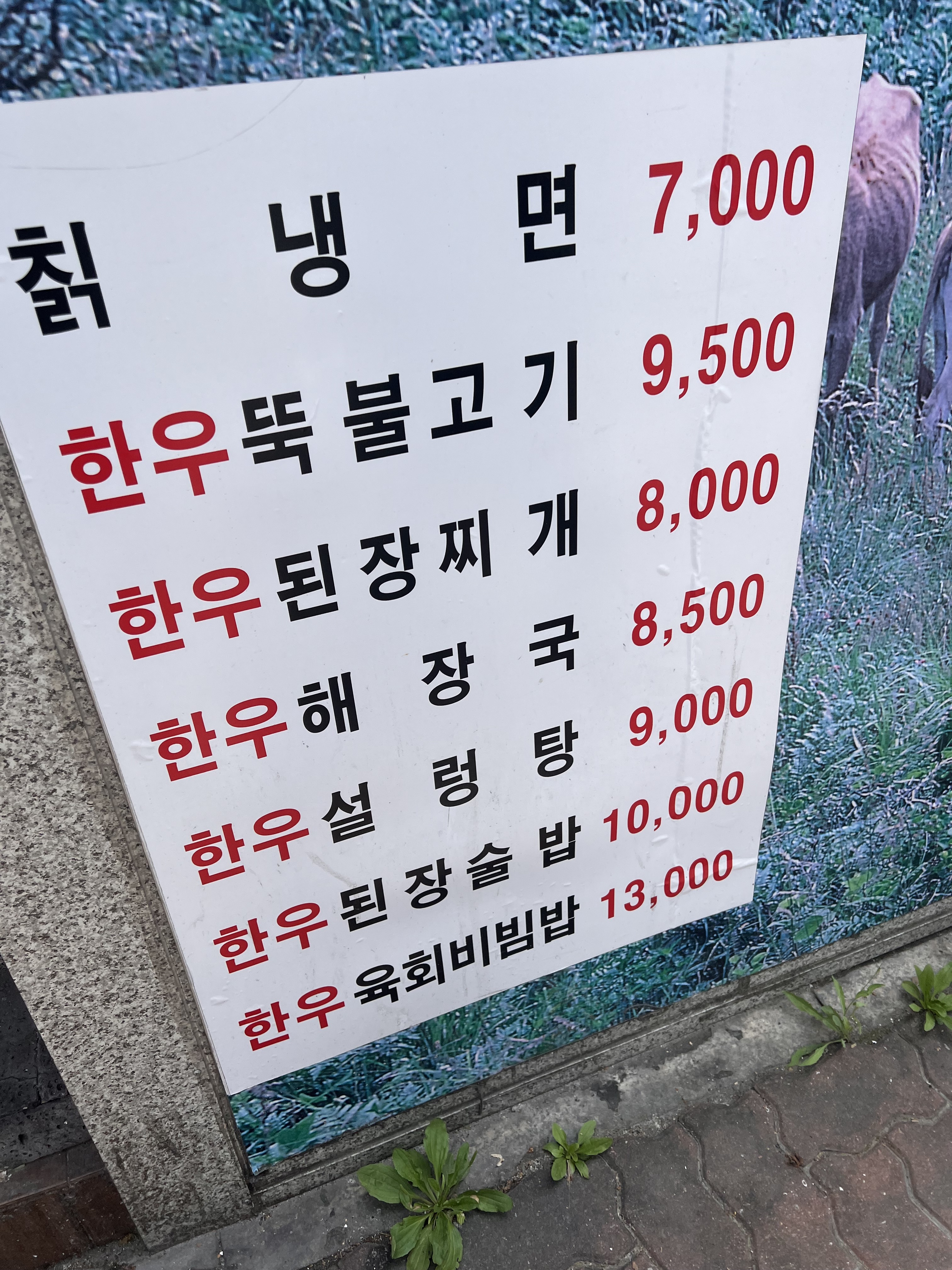 육영토종한우 신관