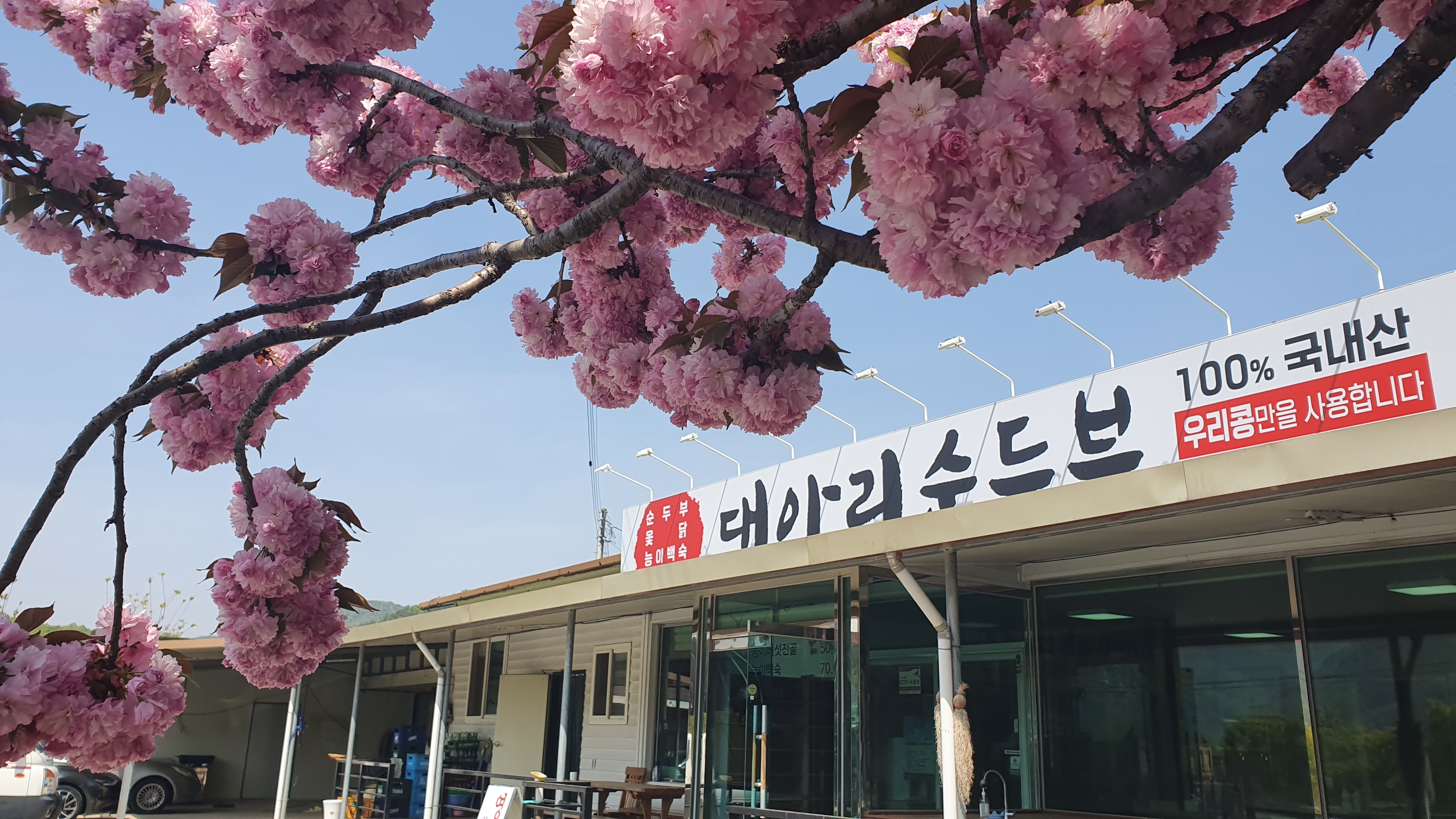 대아리순두부집 설명사진